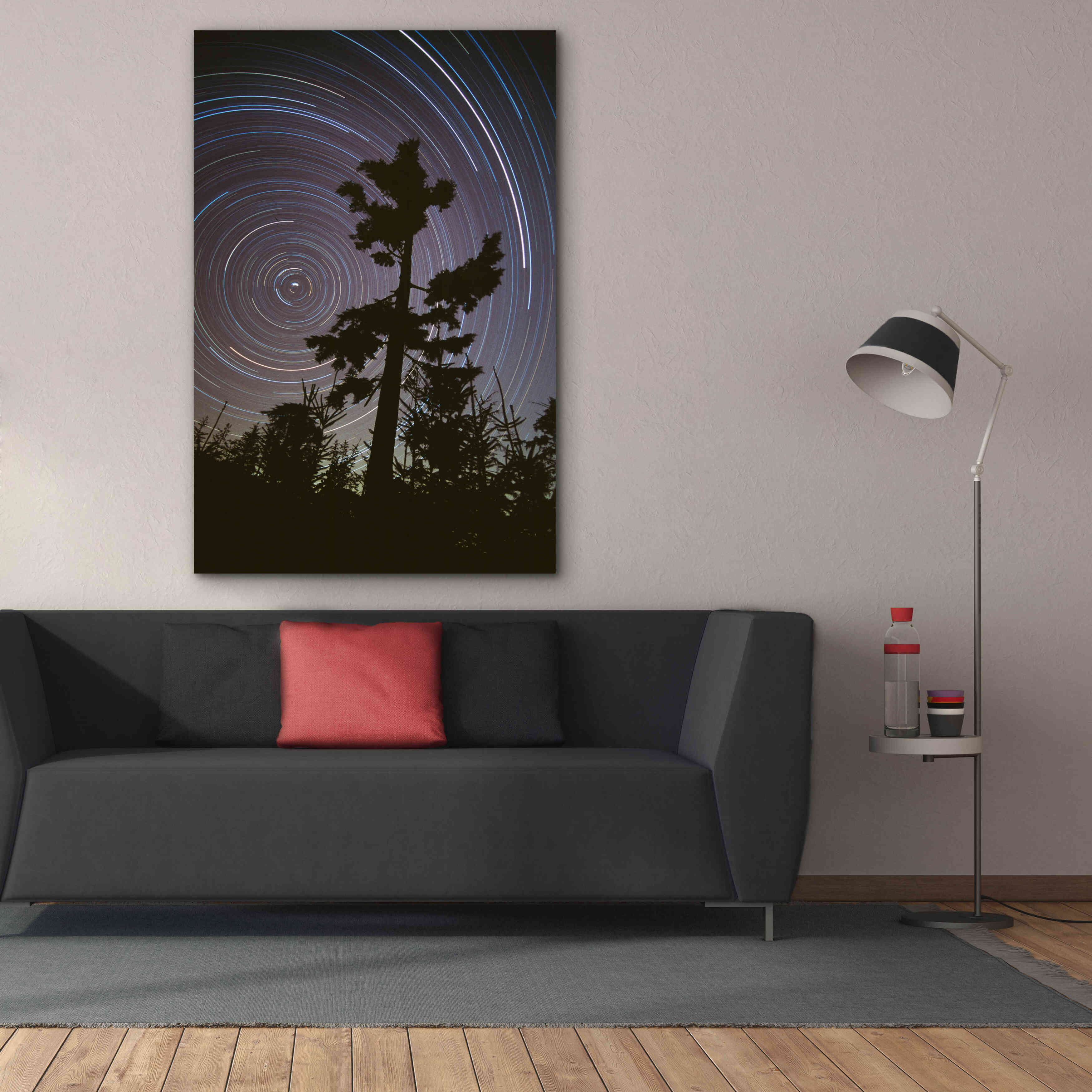 'Polaris Pine' by Thomas Haney, Giclee Canvas Wall Art,40 x 60