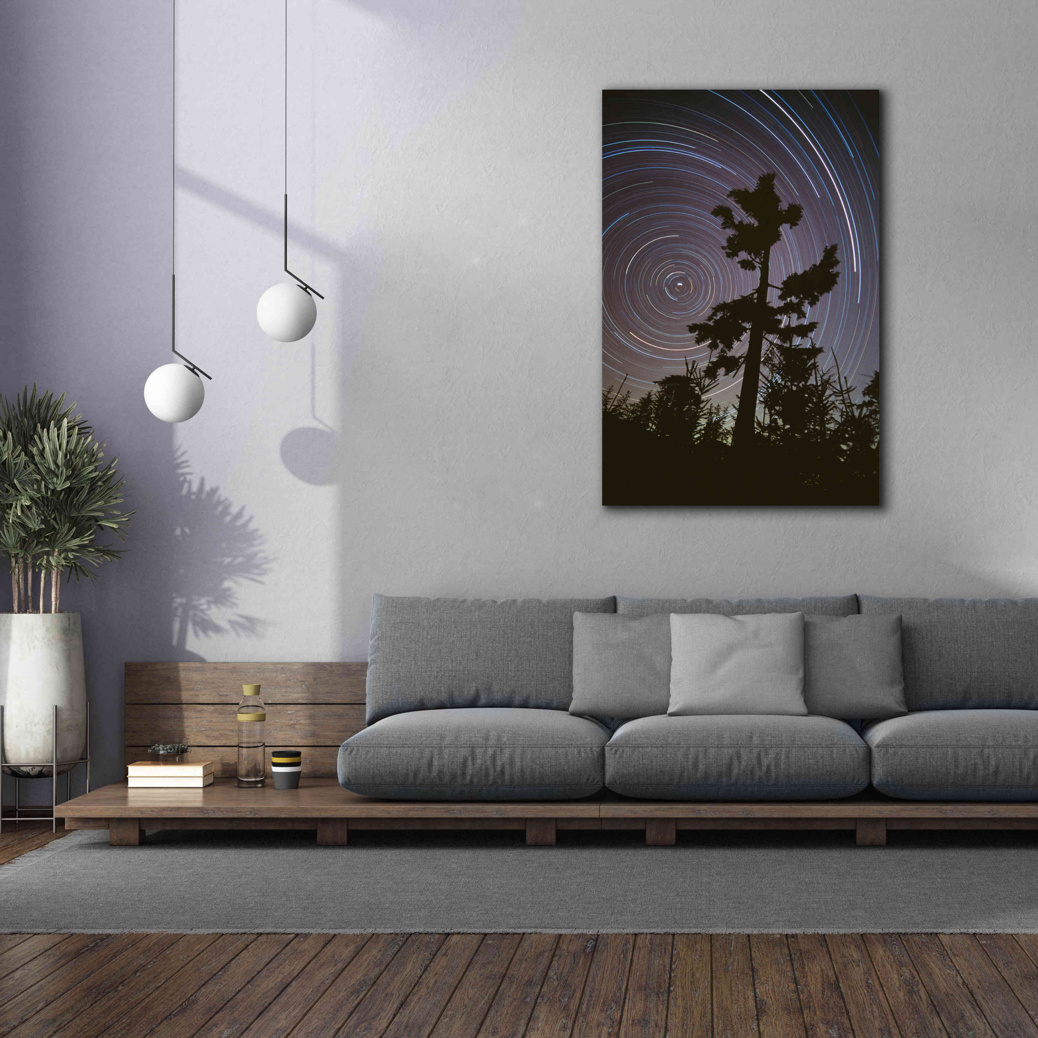 'Polaris Pine' by Thomas Haney, Giclee Canvas Wall Art,40 x 60