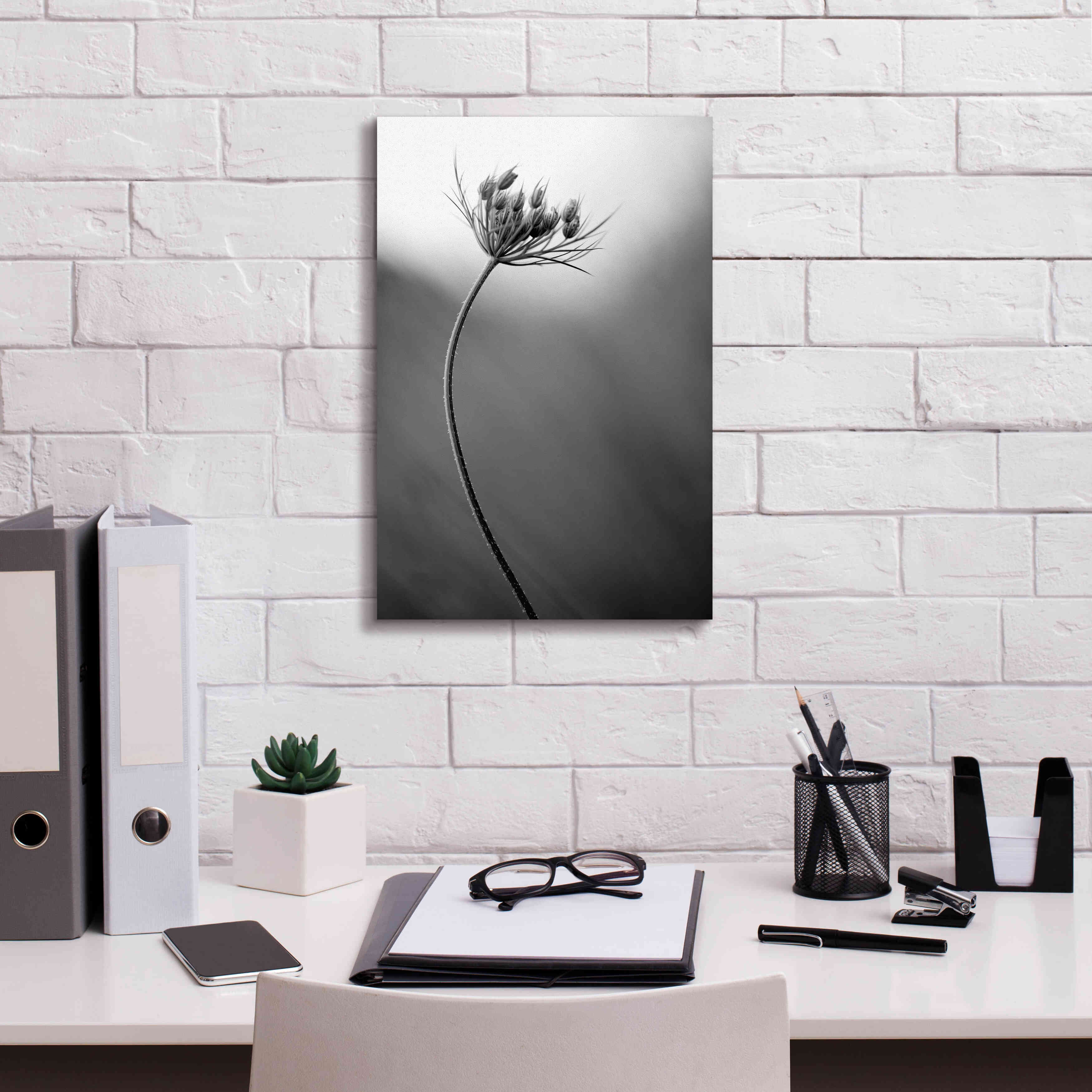 'Queen Anne's B&W' by Thomas Haney, Giclee Canvas Wall Art,12 x 18