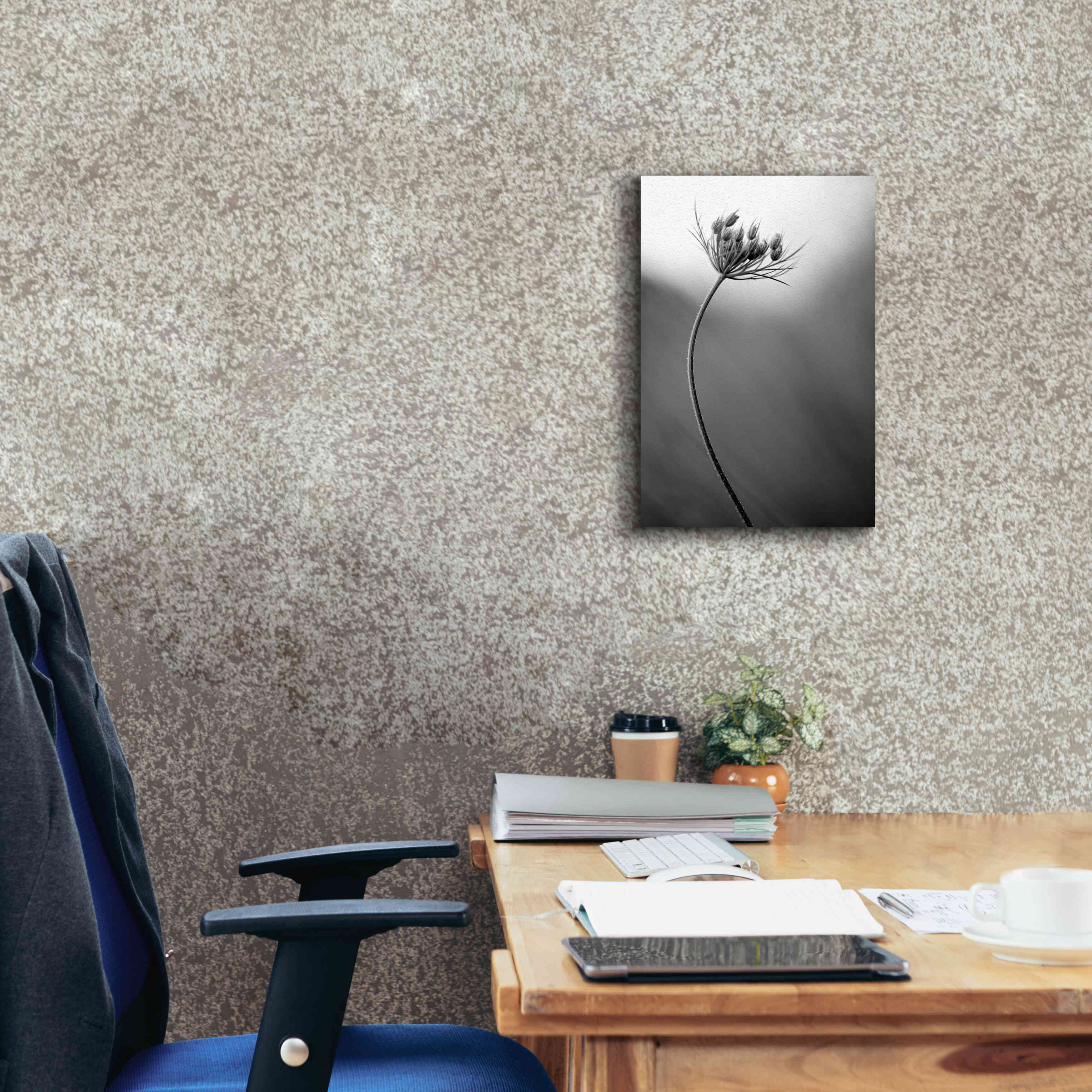 'Queen Anne's B&W' by Thomas Haney, Giclee Canvas Wall Art,12 x 18