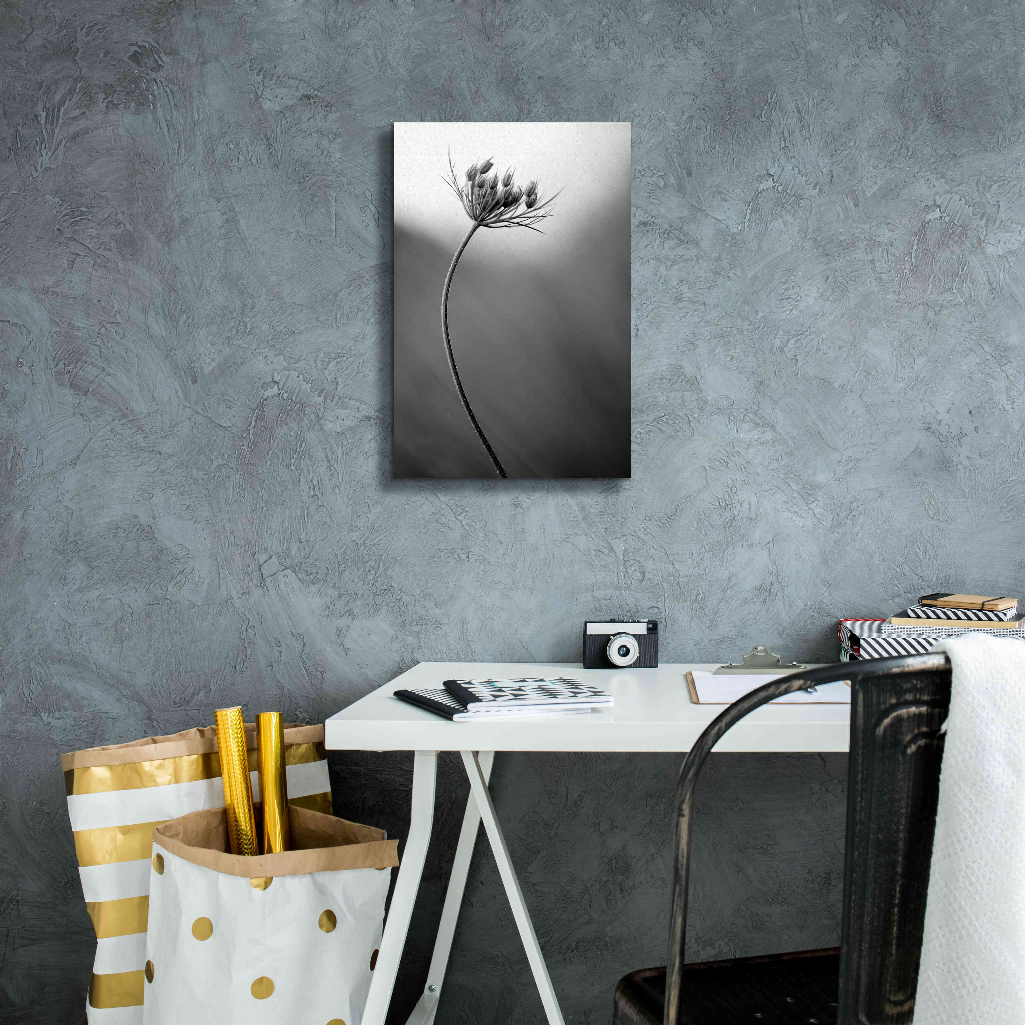 'Queen Anne's B&W' by Thomas Haney, Giclee Canvas Wall Art,12 x 18