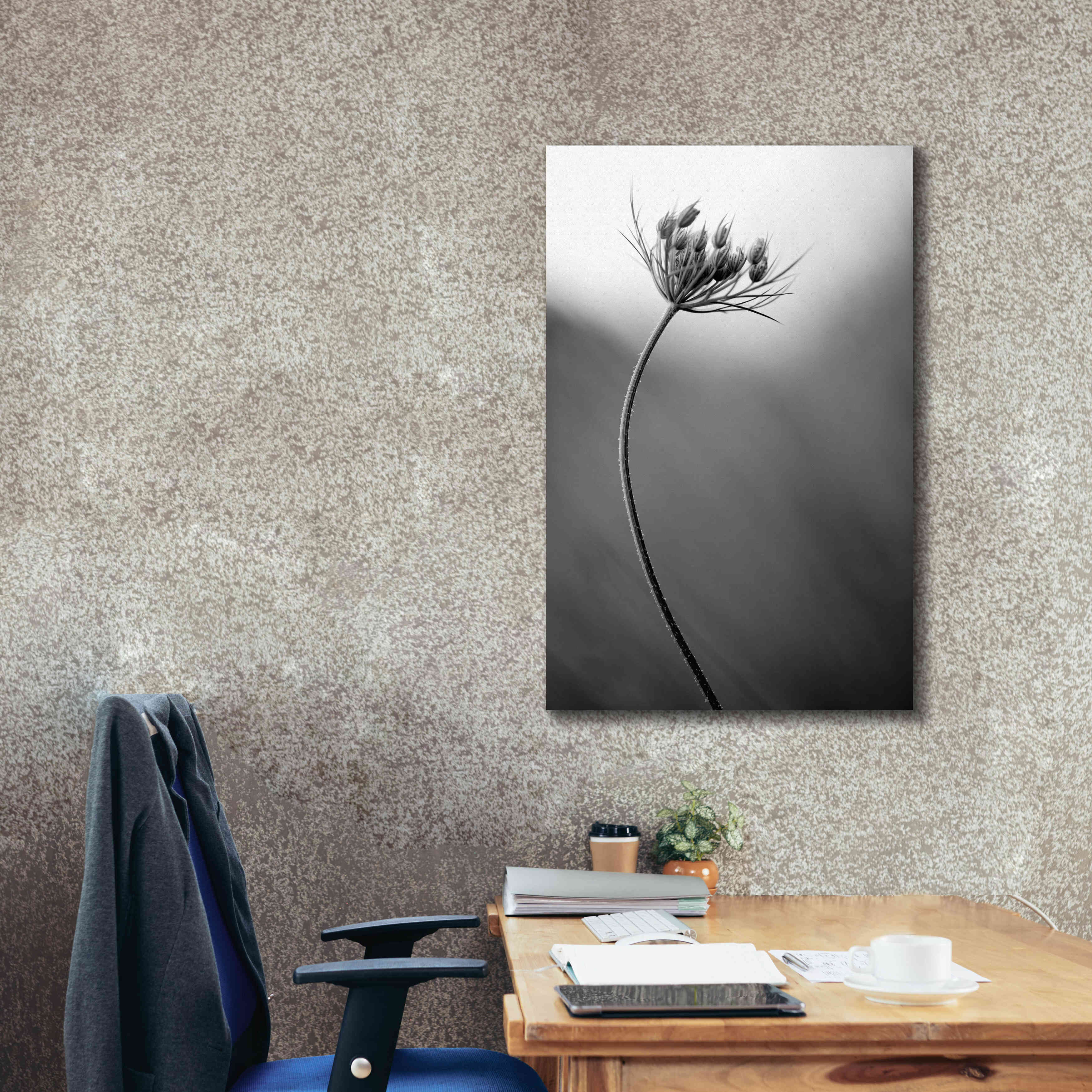 'Queen Anne's B&W' by Thomas Haney, Giclee Canvas Wall Art,26 x 40