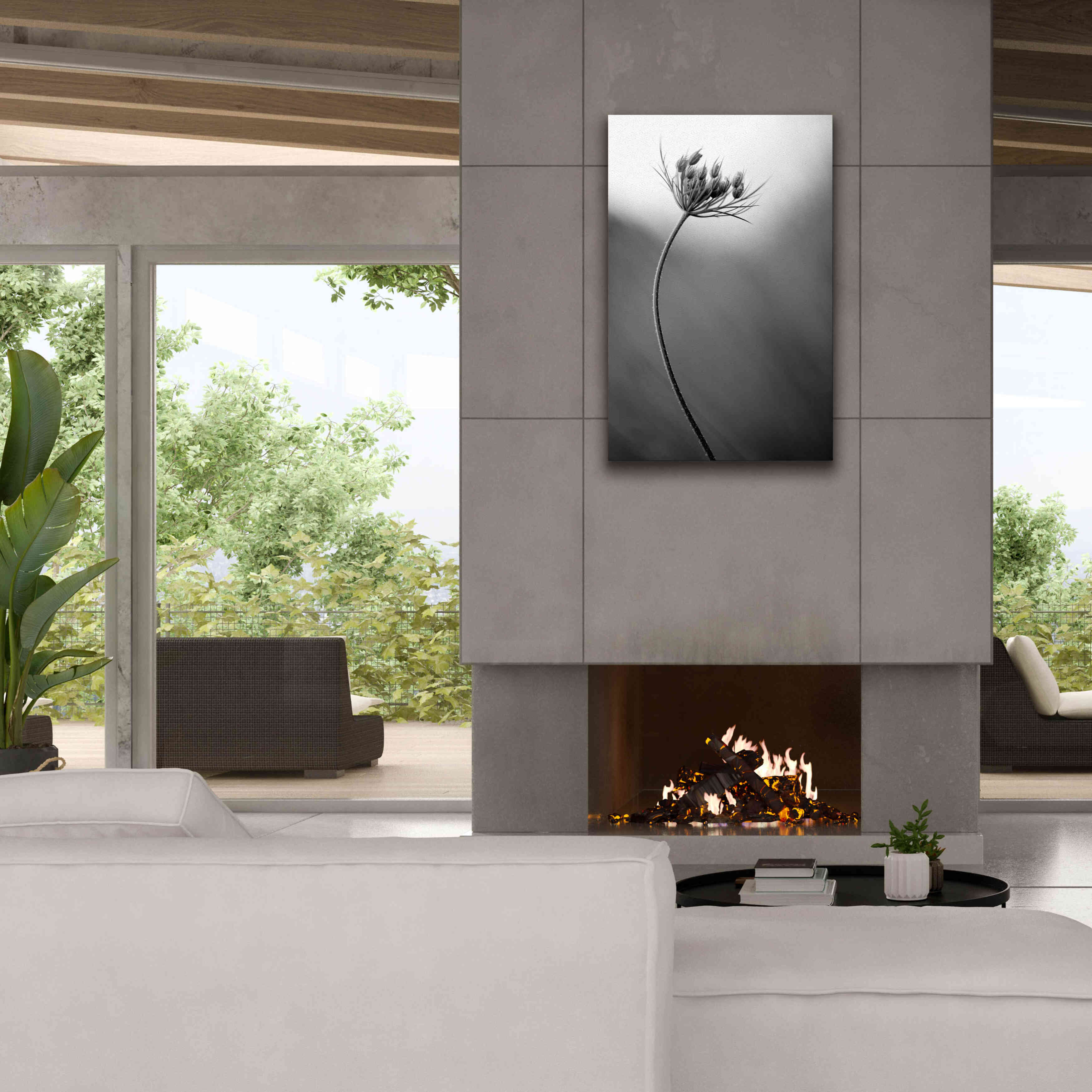 'Queen Anne's B&W' by Thomas Haney, Giclee Canvas Wall Art,26 x 40