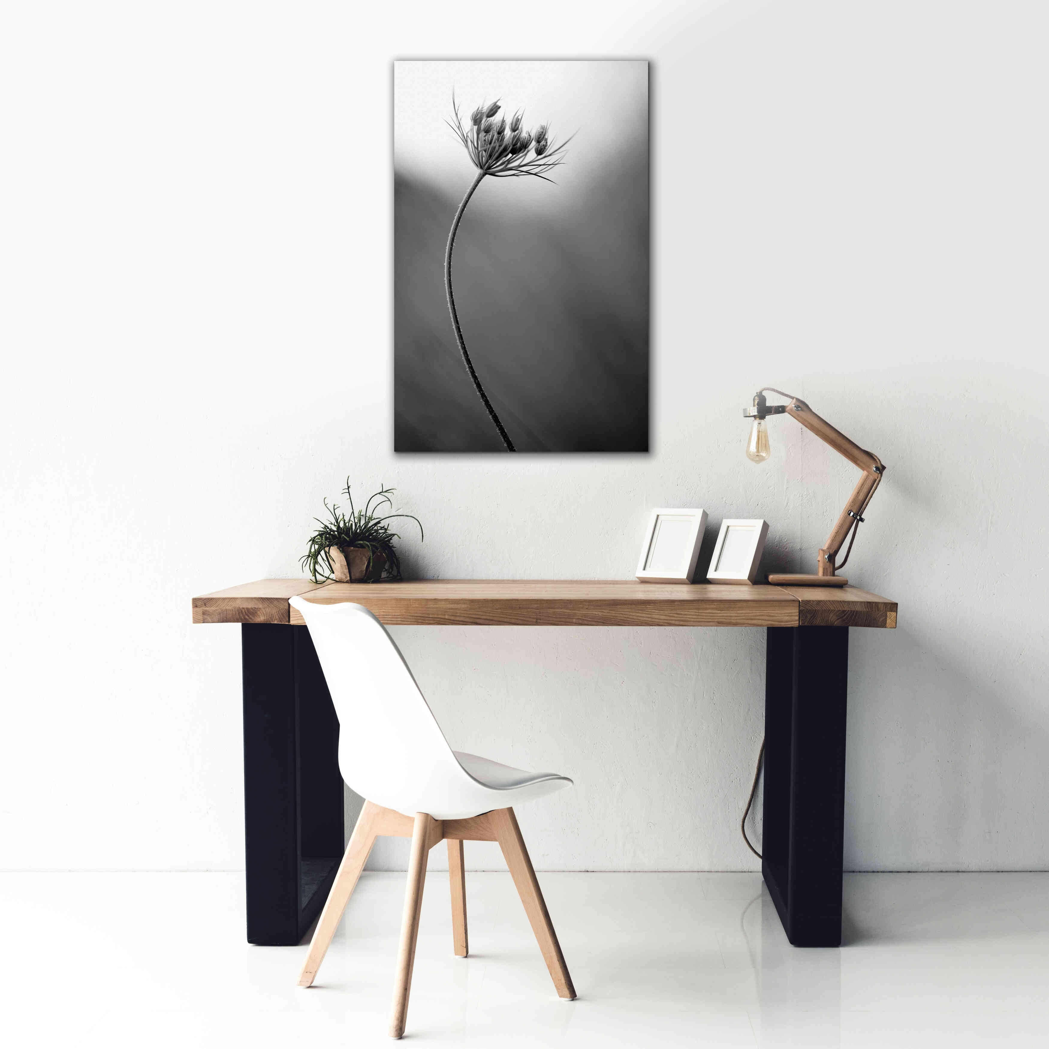 'Queen Anne's B&W' by Thomas Haney, Giclee Canvas Wall Art,26 x 40