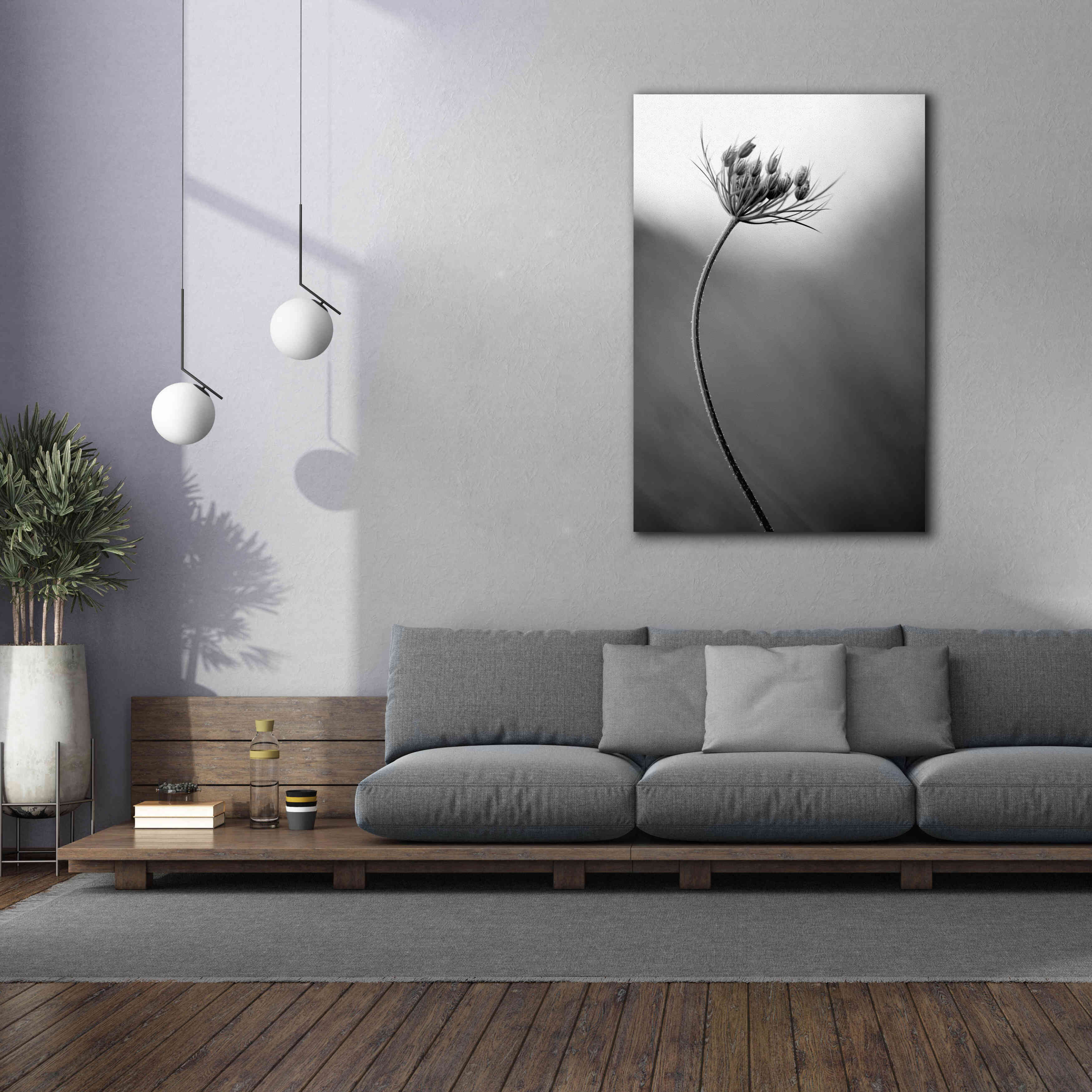 'Queen Anne's B&W' by Thomas Haney, Giclee Canvas Wall Art,40 x 60