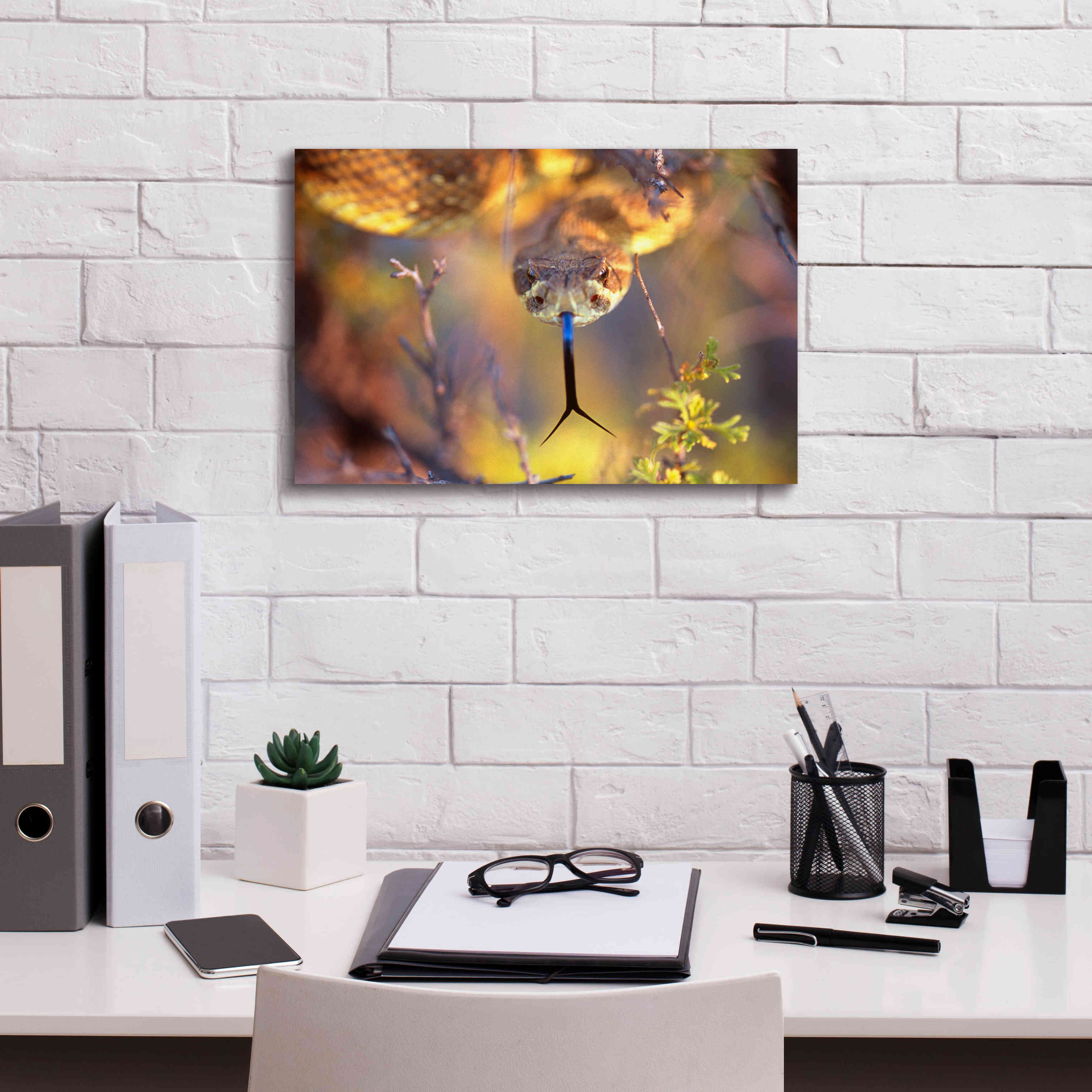 'Rattle' by Thomas Haney, Giclee Canvas Wall Art,18 x 12