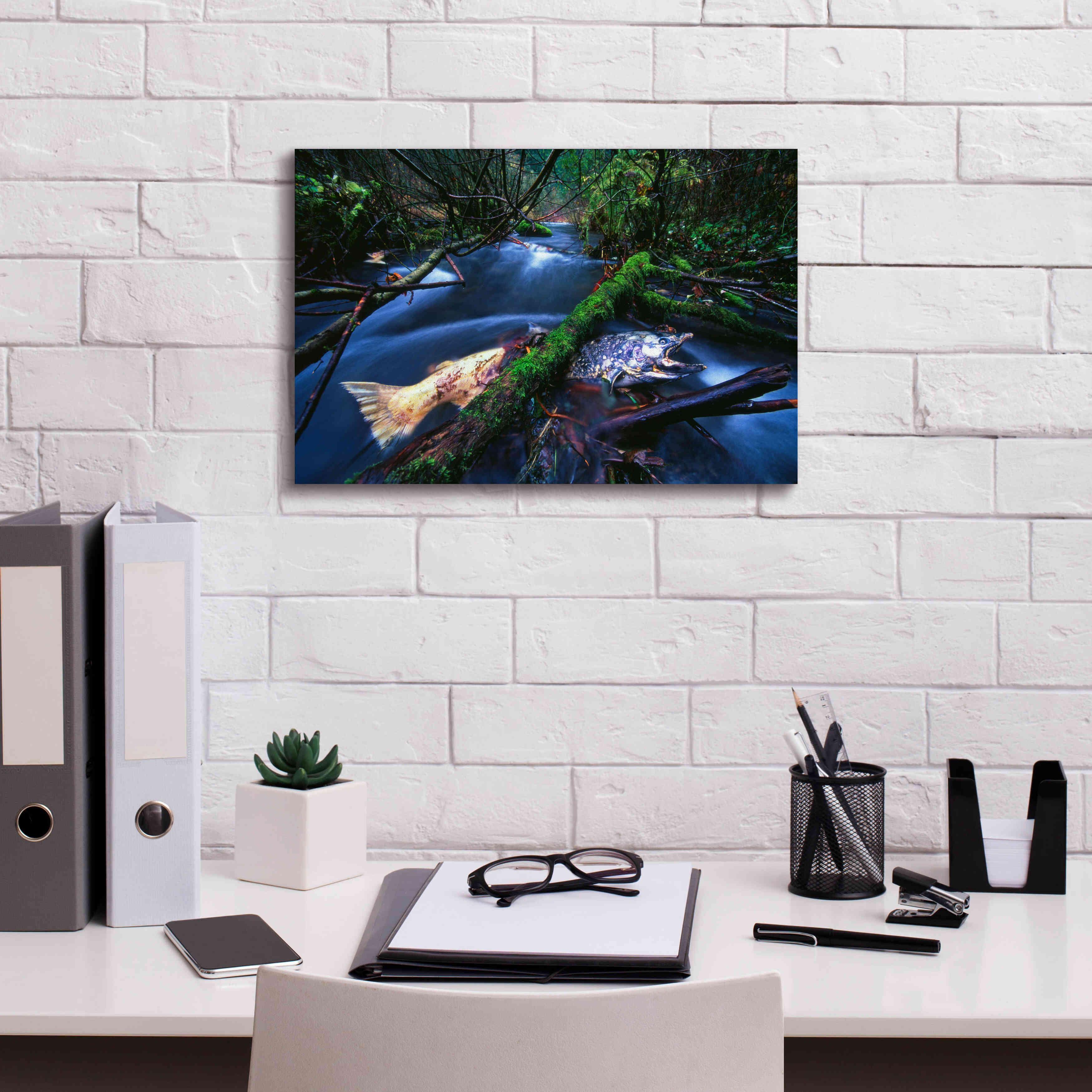 'Salmon Trapped' by Thomas Haney, Giclee Canvas Wall Art,18 x 12