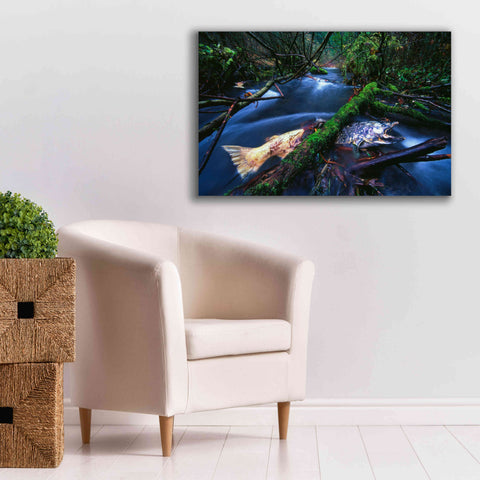 Image of 'Salmon Trapped' by Thomas Haney, Giclee Canvas Wall Art,40 x 26