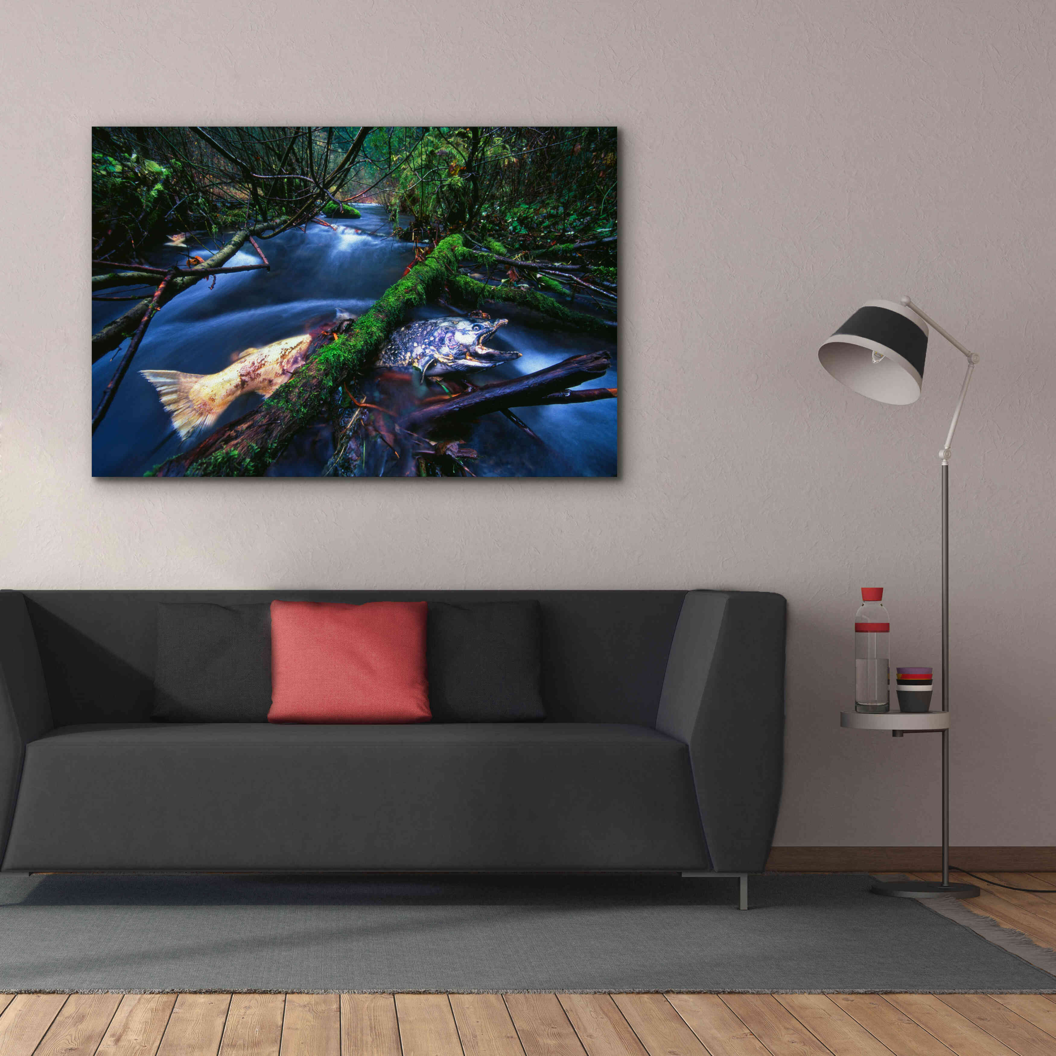 'Salmon Trapped' by Thomas Haney, Giclee Canvas Wall Art,60 x 40