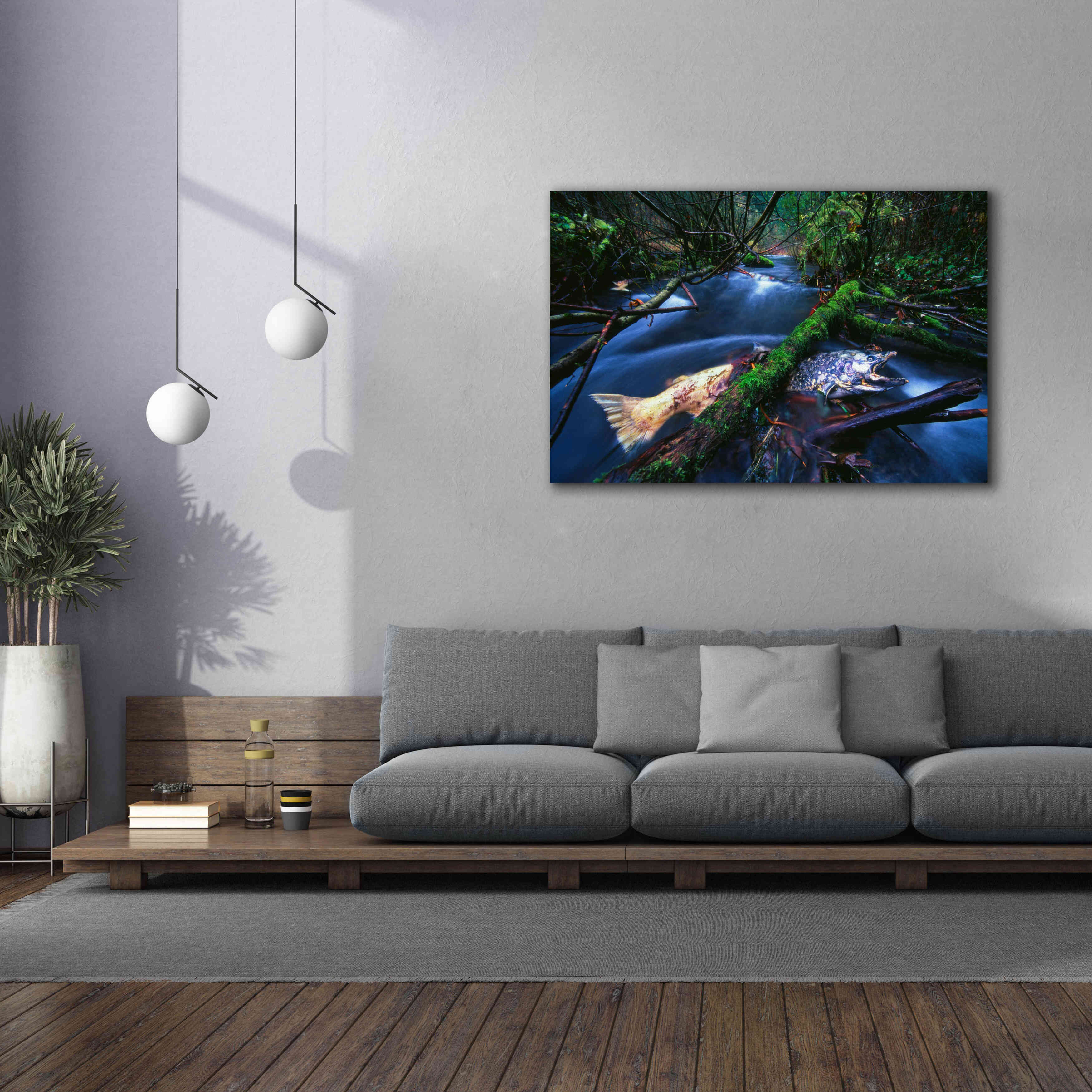 'Salmon Trapped' by Thomas Haney, Giclee Canvas Wall Art,60 x 40