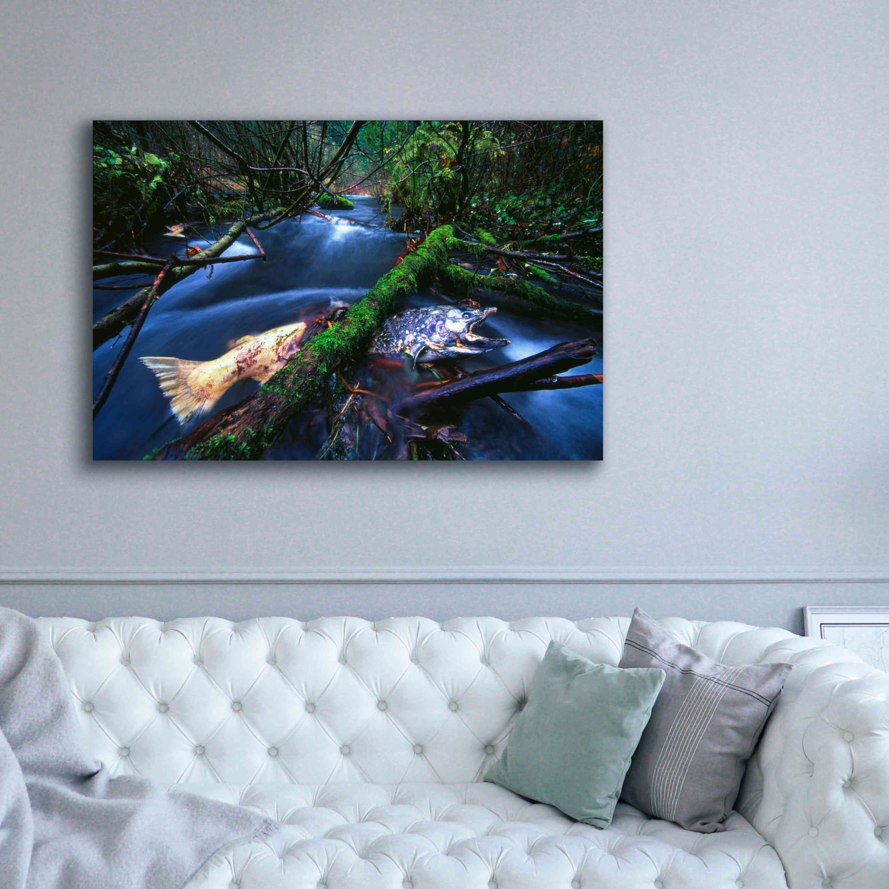 'Salmon Trapped' by Thomas Haney, Giclee Canvas Wall Art,60 x 40