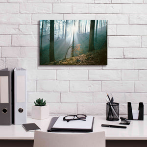 'Smoke Forest' by Thomas Haney, Giclee Canvas Wall Art,18 x 12