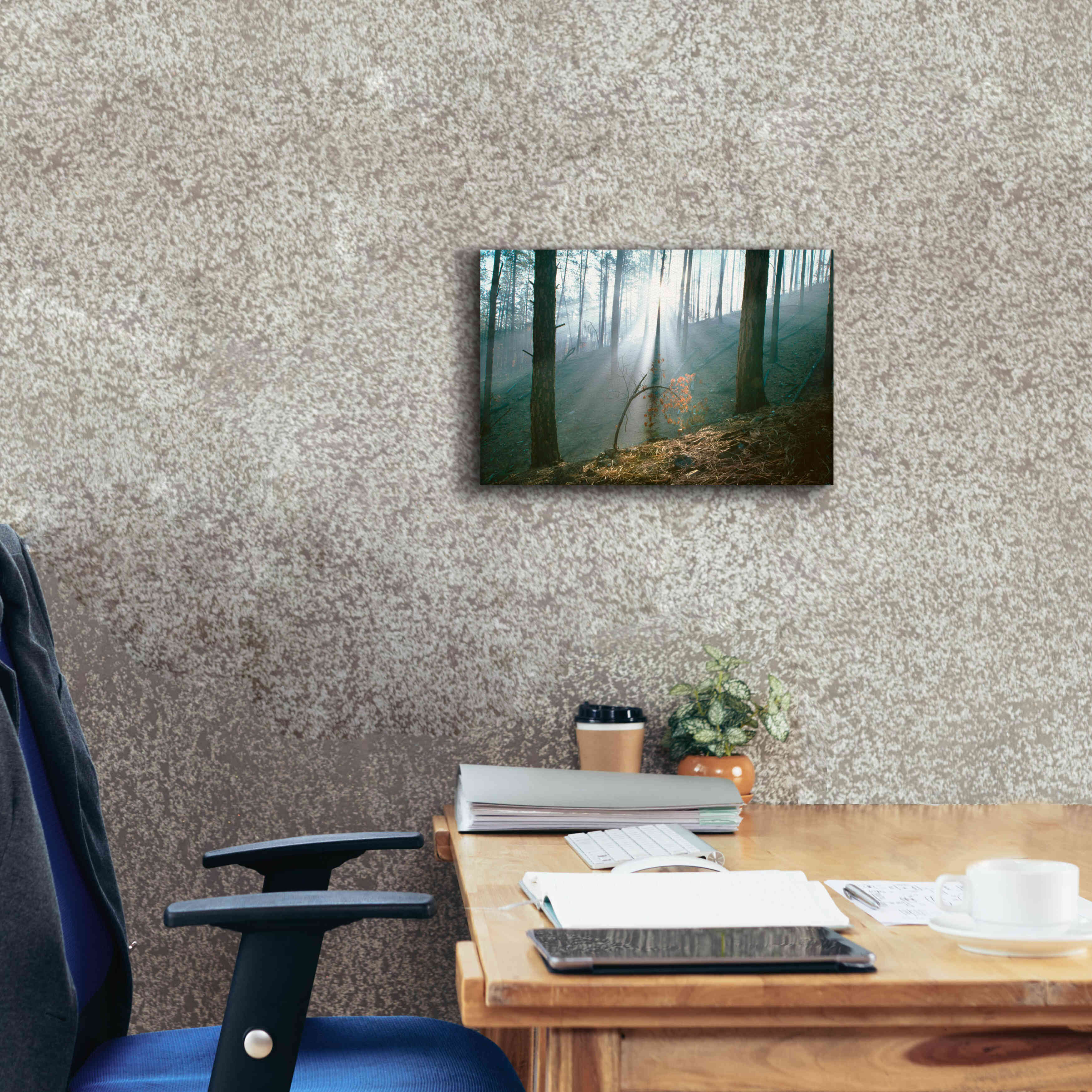 'Smoke Forest' by Thomas Haney, Giclee Canvas Wall Art,18 x 12