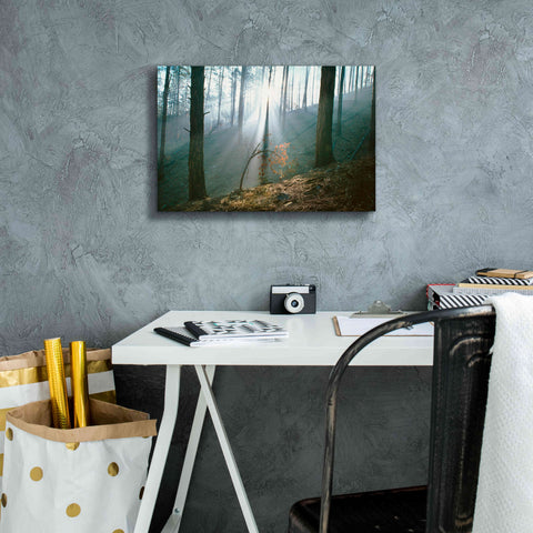 Image of 'Smoke Forest' by Thomas Haney, Giclee Canvas Wall Art,18 x 12
