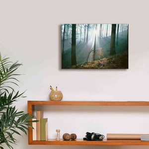 'Smoke Forest' by Thomas Haney, Giclee Canvas Wall Art,18 x 12