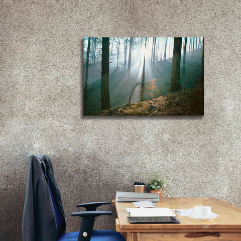 Image of 'Smoke Forest' by Thomas Haney, Giclee Canvas Wall Art,40 x 26
