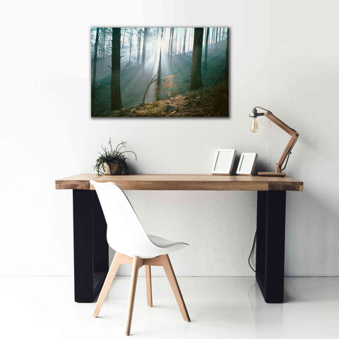Image of 'Smoke Forest' by Thomas Haney, Giclee Canvas Wall Art,40 x 26