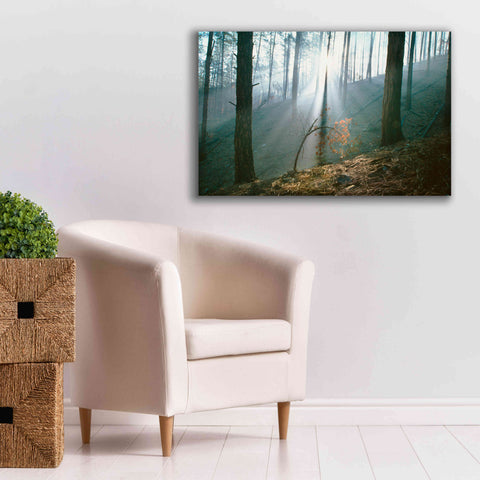 Image of 'Smoke Forest' by Thomas Haney, Giclee Canvas Wall Art,40 x 26