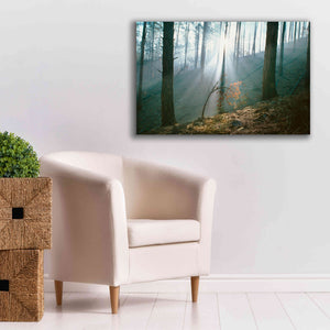 'Smoke Forest' by Thomas Haney, Giclee Canvas Wall Art,40 x 26