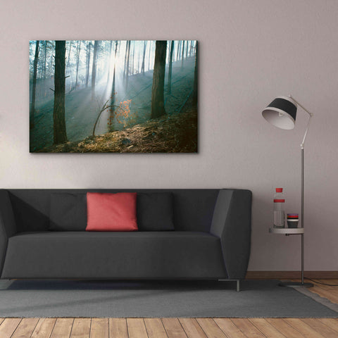Image of 'Smoke Forest' by Thomas Haney, Giclee Canvas Wall Art,60 x 40