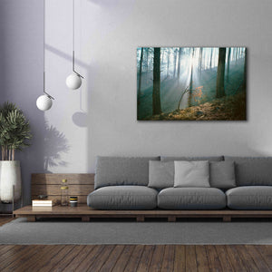 'Smoke Forest' by Thomas Haney, Giclee Canvas Wall Art,60 x 40