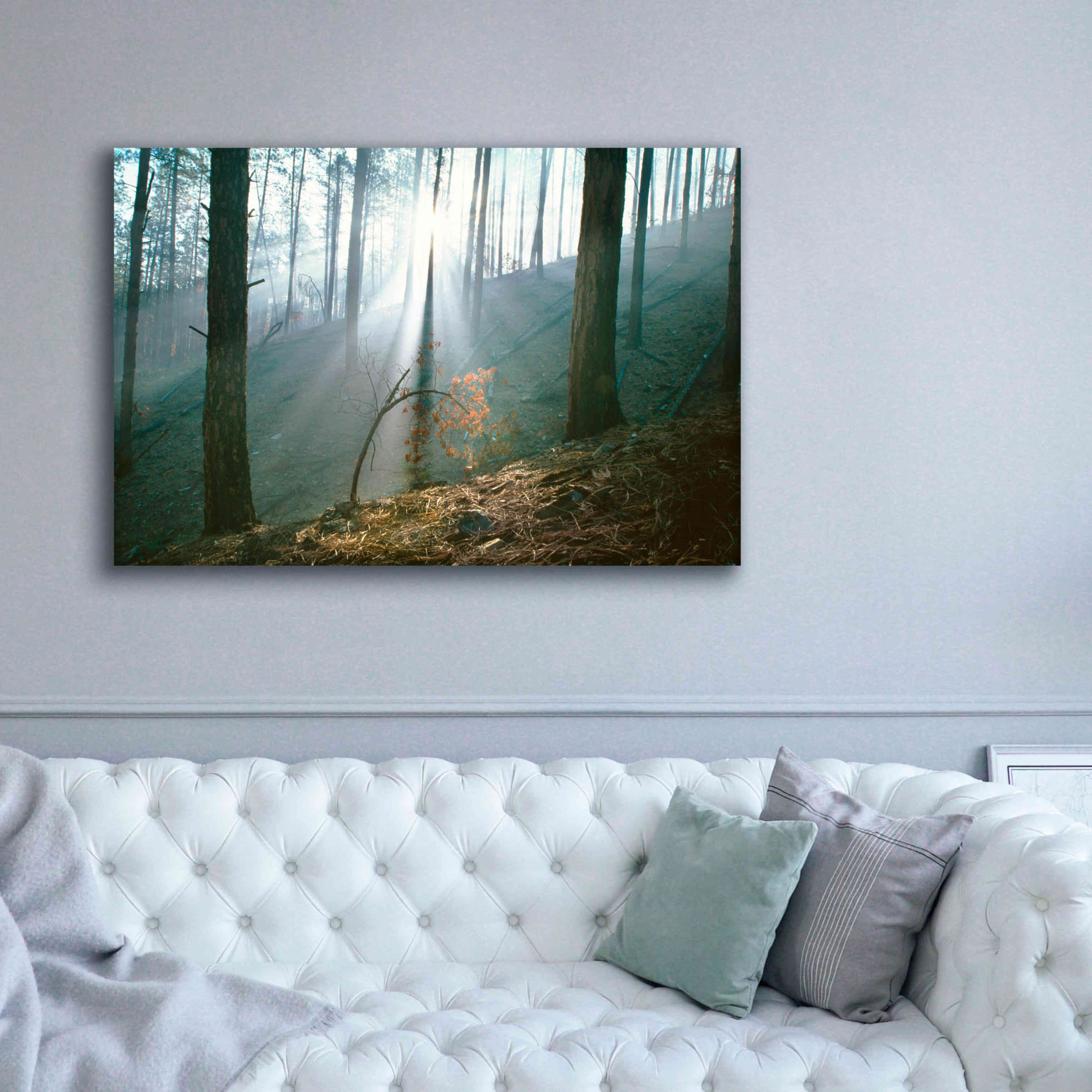 'Smoke Forest' by Thomas Haney, Giclee Canvas Wall Art,60 x 40