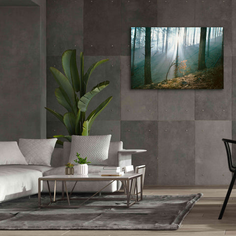 Image of 'Smoke Forest' by Thomas Haney, Giclee Canvas Wall Art,60 x 40