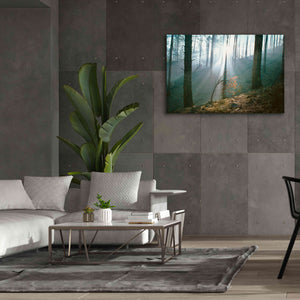 'Smoke Forest' by Thomas Haney, Giclee Canvas Wall Art,60 x 40