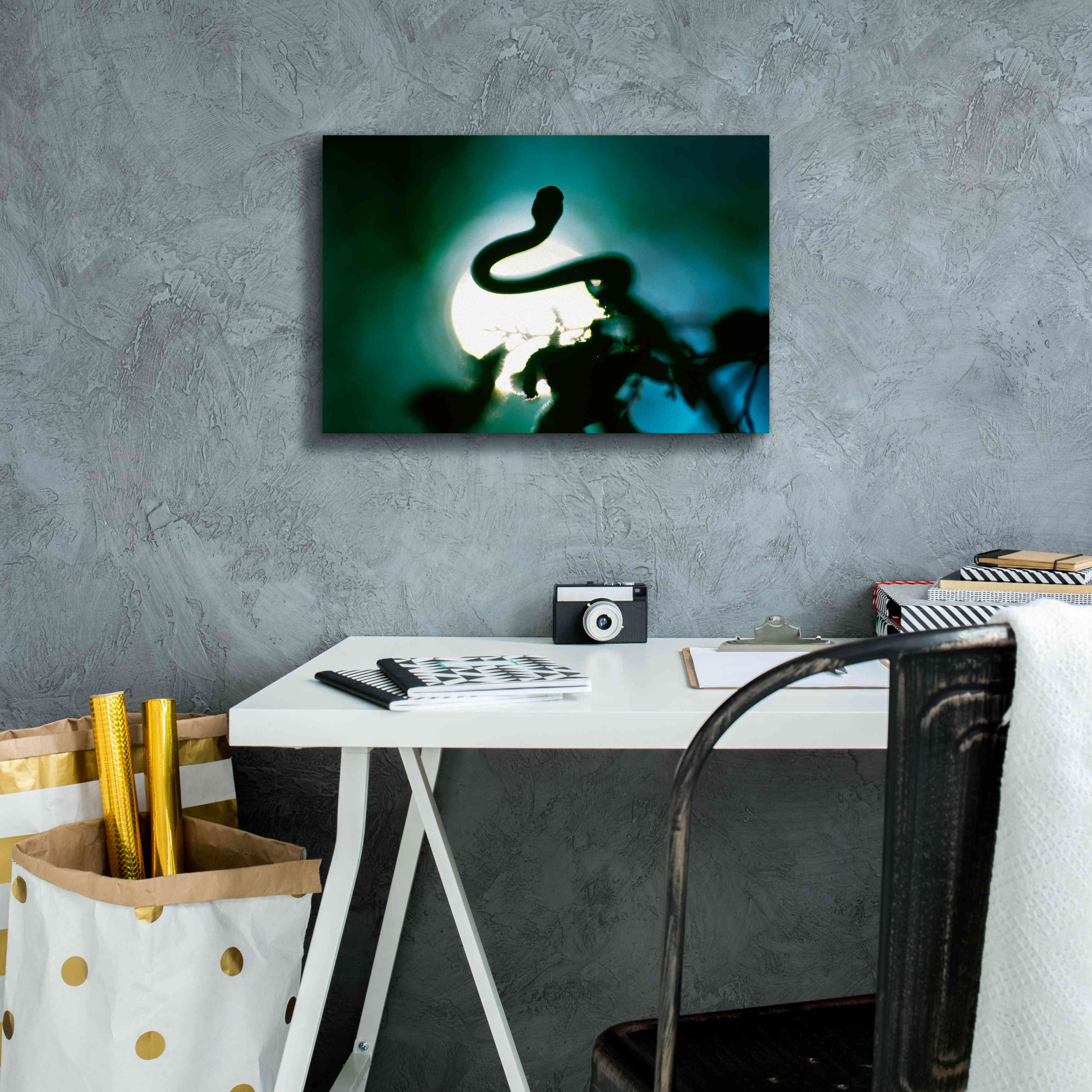 'Snake Sun' by Thomas Haney, Giclee Canvas Wall Art,18 x 12