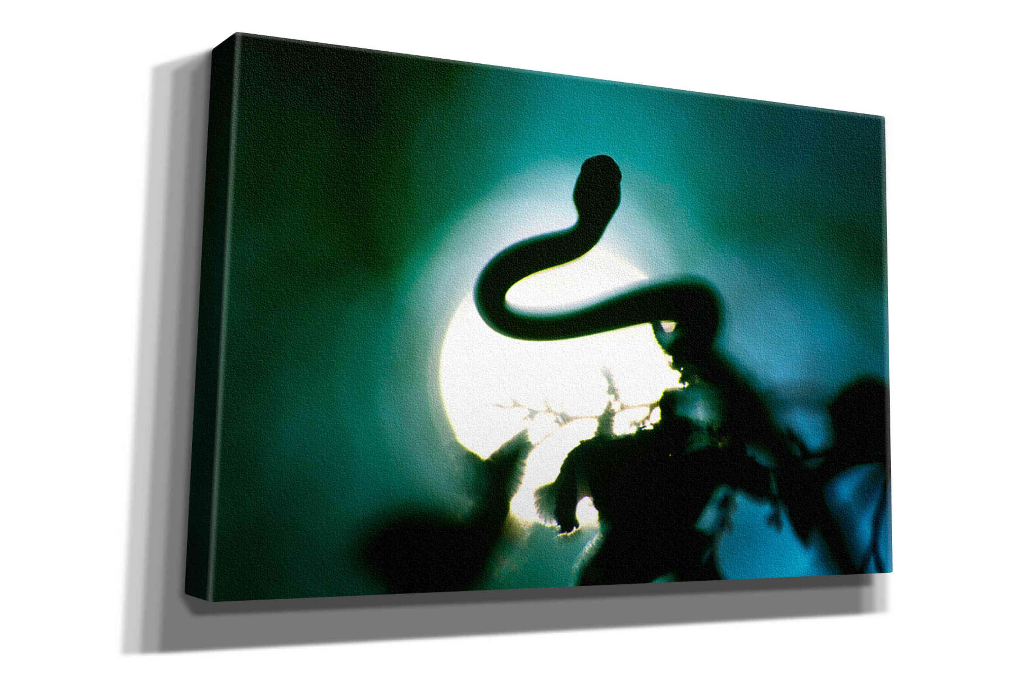 'Snake Sun' by Thomas Haney, Giclee Canvas Wall Art