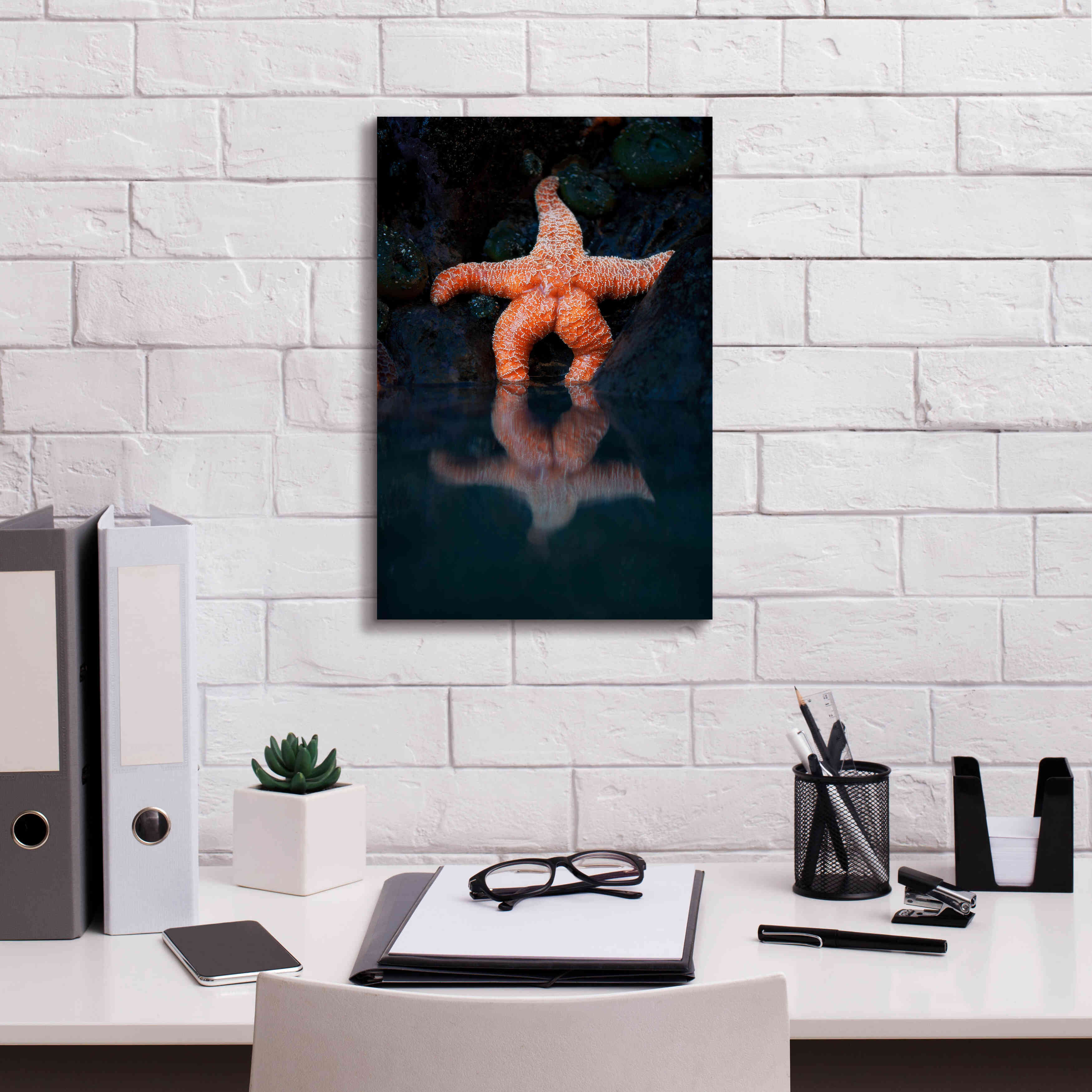 'Starfish Reflection 2' by Thomas Haney, Giclee Canvas Wall Art,12 x 18