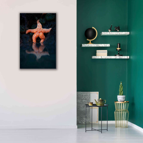 Image of 'Starfish Reflection 2' by Thomas Haney, Giclee Canvas Wall Art,26 x 40