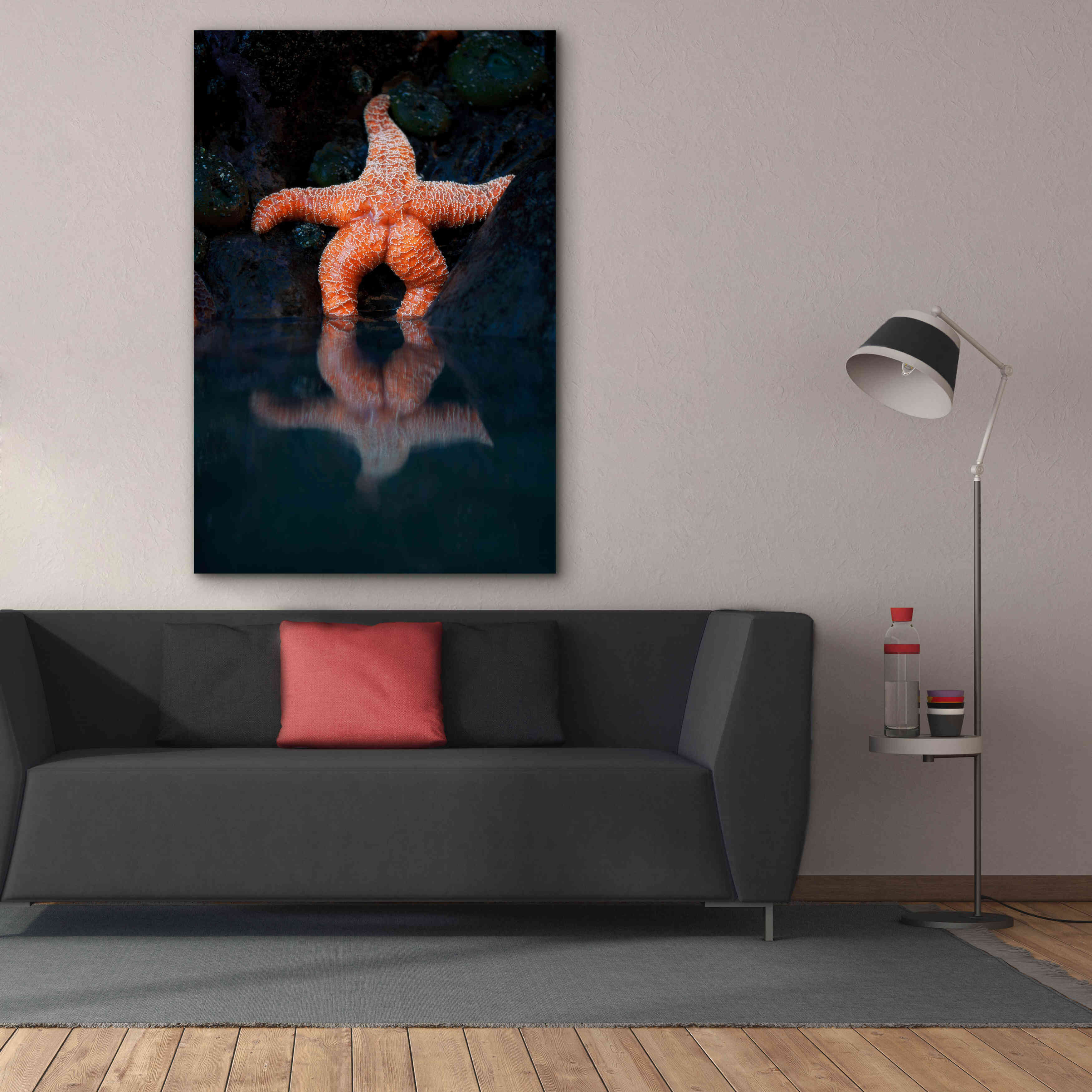 'Starfish Reflection 2' by Thomas Haney, Giclee Canvas Wall Art,40 x 60