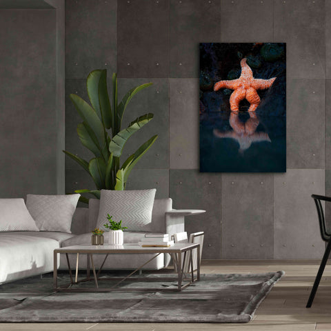 Image of 'Starfish Reflection 2' by Thomas Haney, Giclee Canvas Wall Art,40 x 60