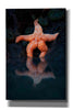'Starfish Reflection 2' by Thomas Haney, Giclee Canvas Wall Art