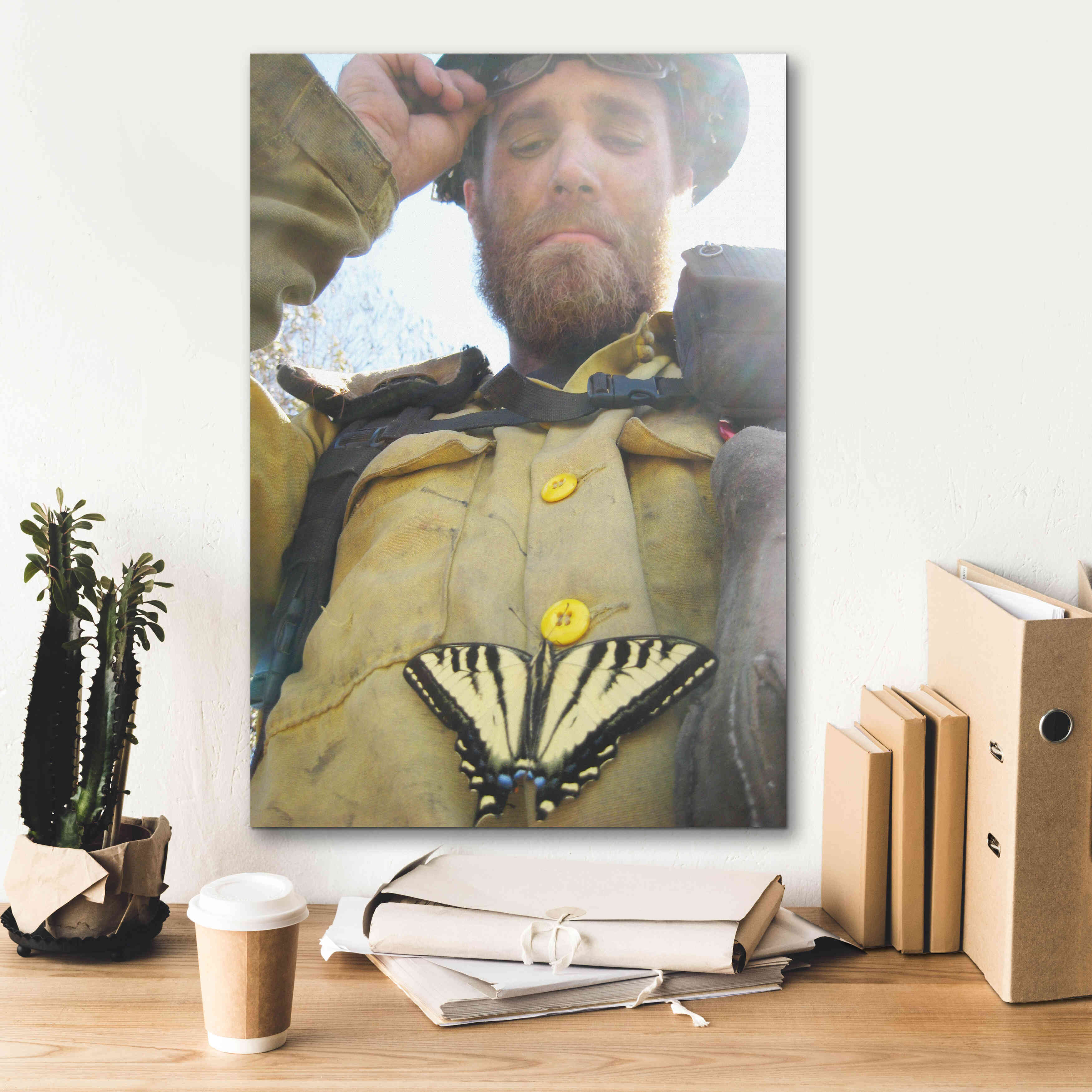 'Swallow tail' by Thomas Haney, Giclee Canvas Wall Art,18 x 26