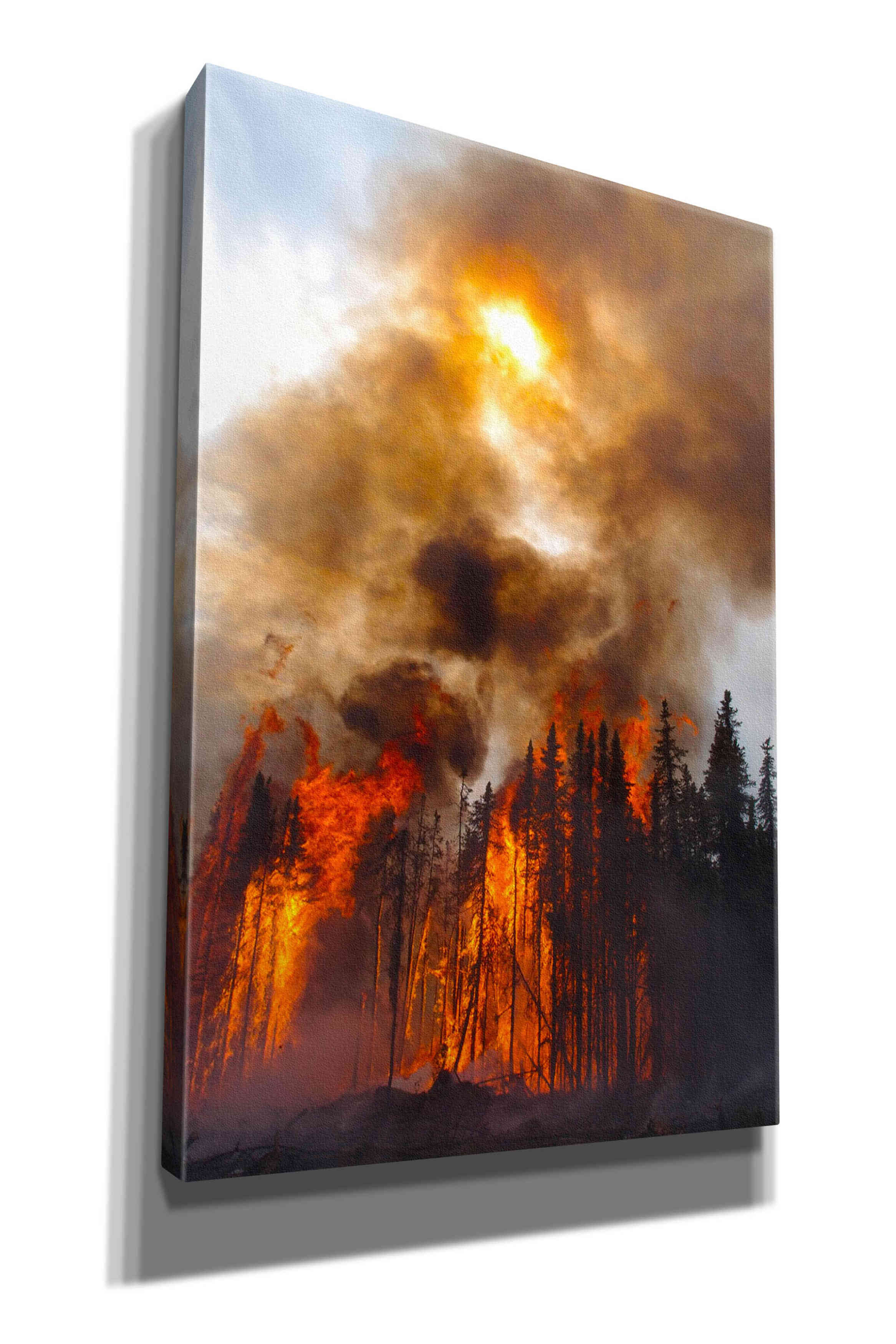 'Torching' by Thomas Haney, Giclee Canvas Wall Art