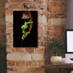 'Frog Portrait' by Thomas Haney, Giclee Canvas Wall Art,12 x 18