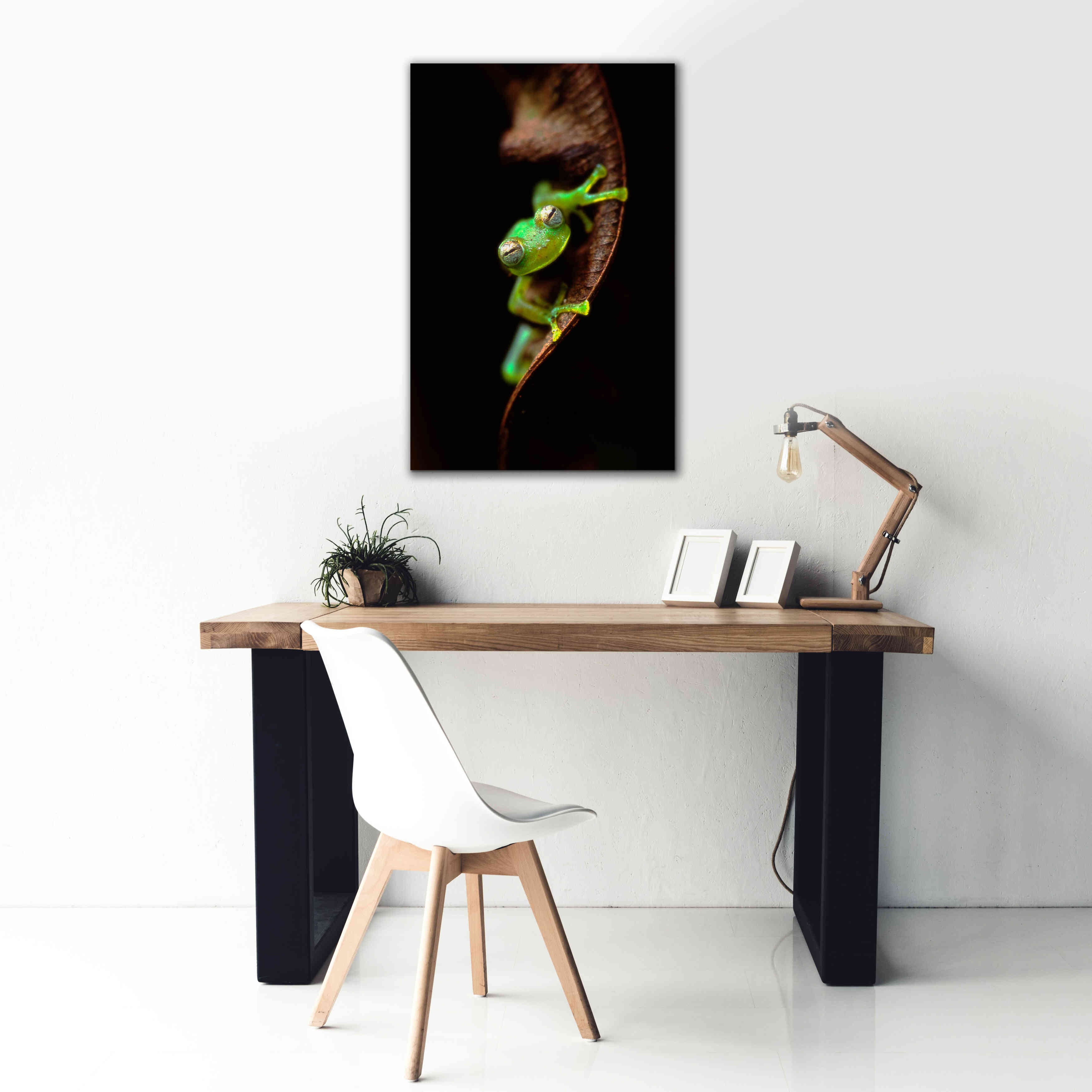 'Frog Portrait' by Thomas Haney, Giclee Canvas Wall Art,26 x 40