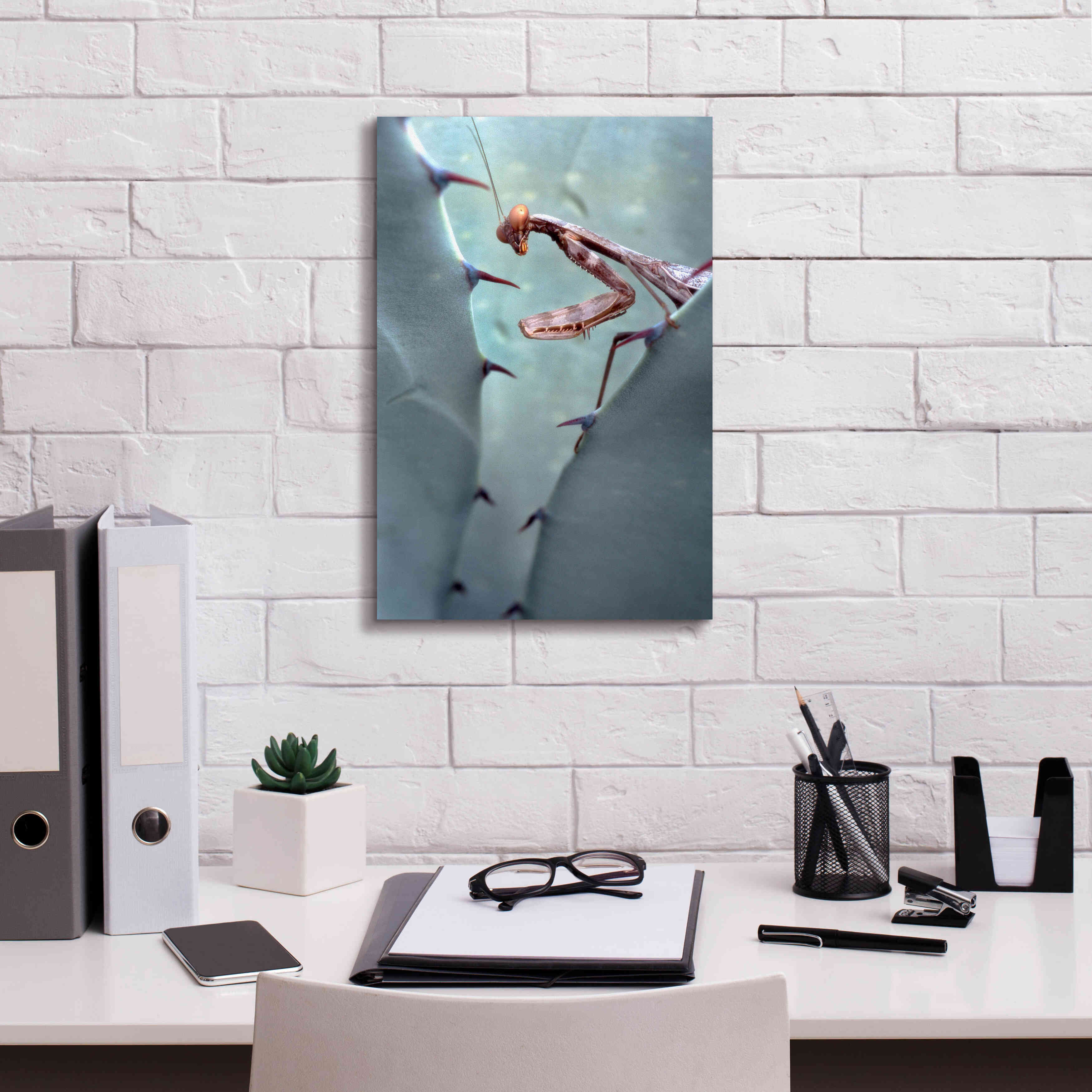 'Mantis Agave' by Thomas Haney, Giclee Canvas Wall Art,12 x 18