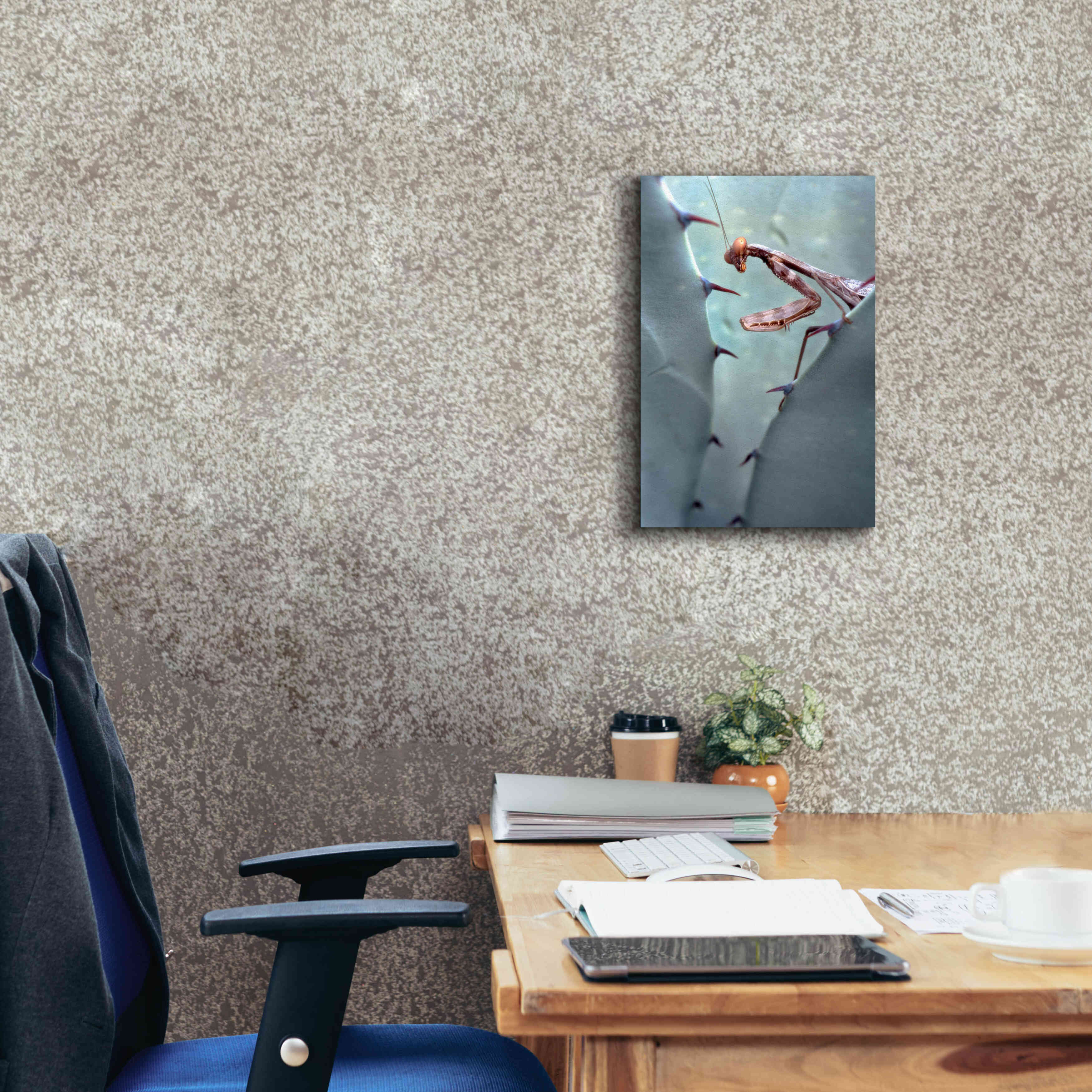 'Mantis Agave' by Thomas Haney, Giclee Canvas Wall Art,12 x 18