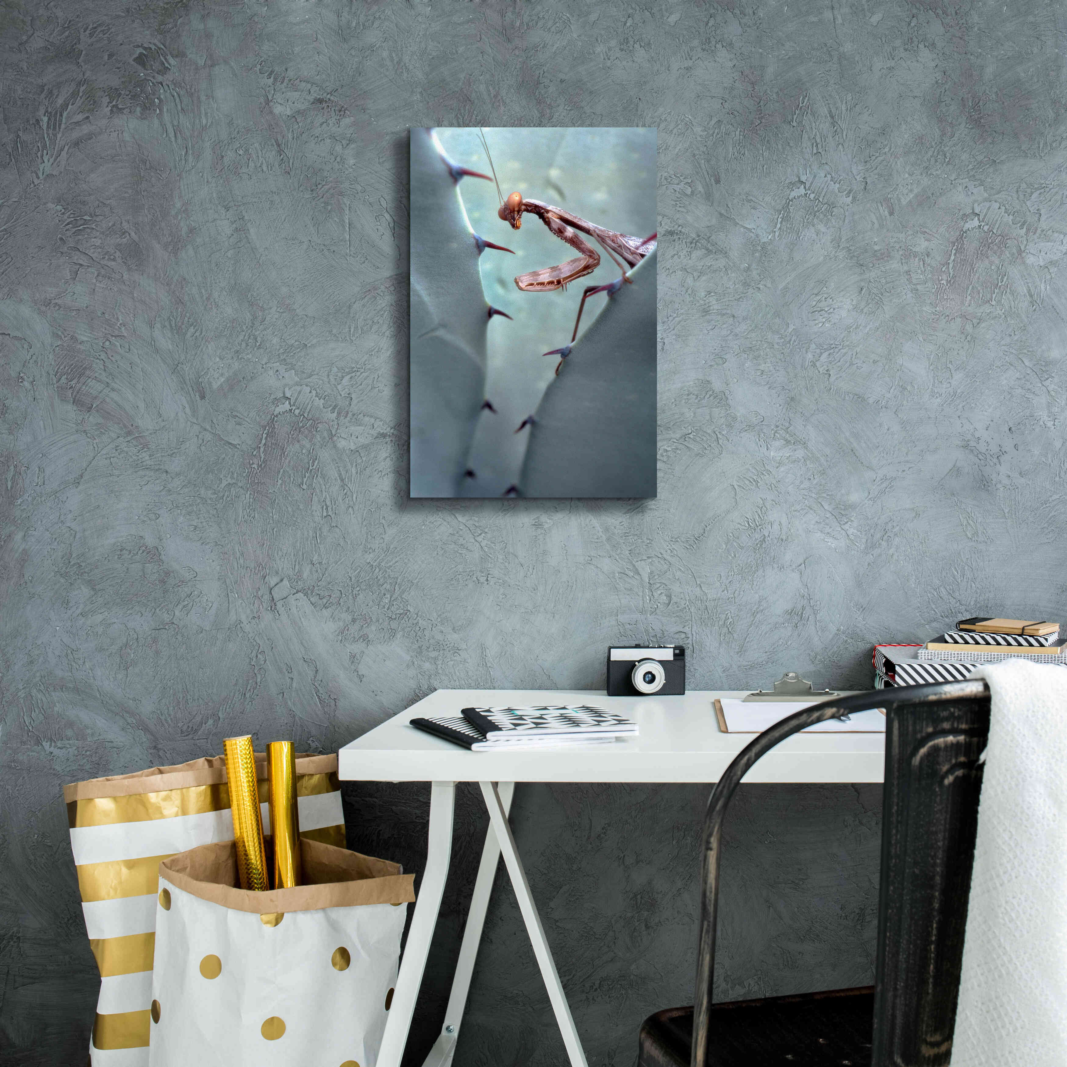 'Mantis Agave' by Thomas Haney, Giclee Canvas Wall Art,12 x 18