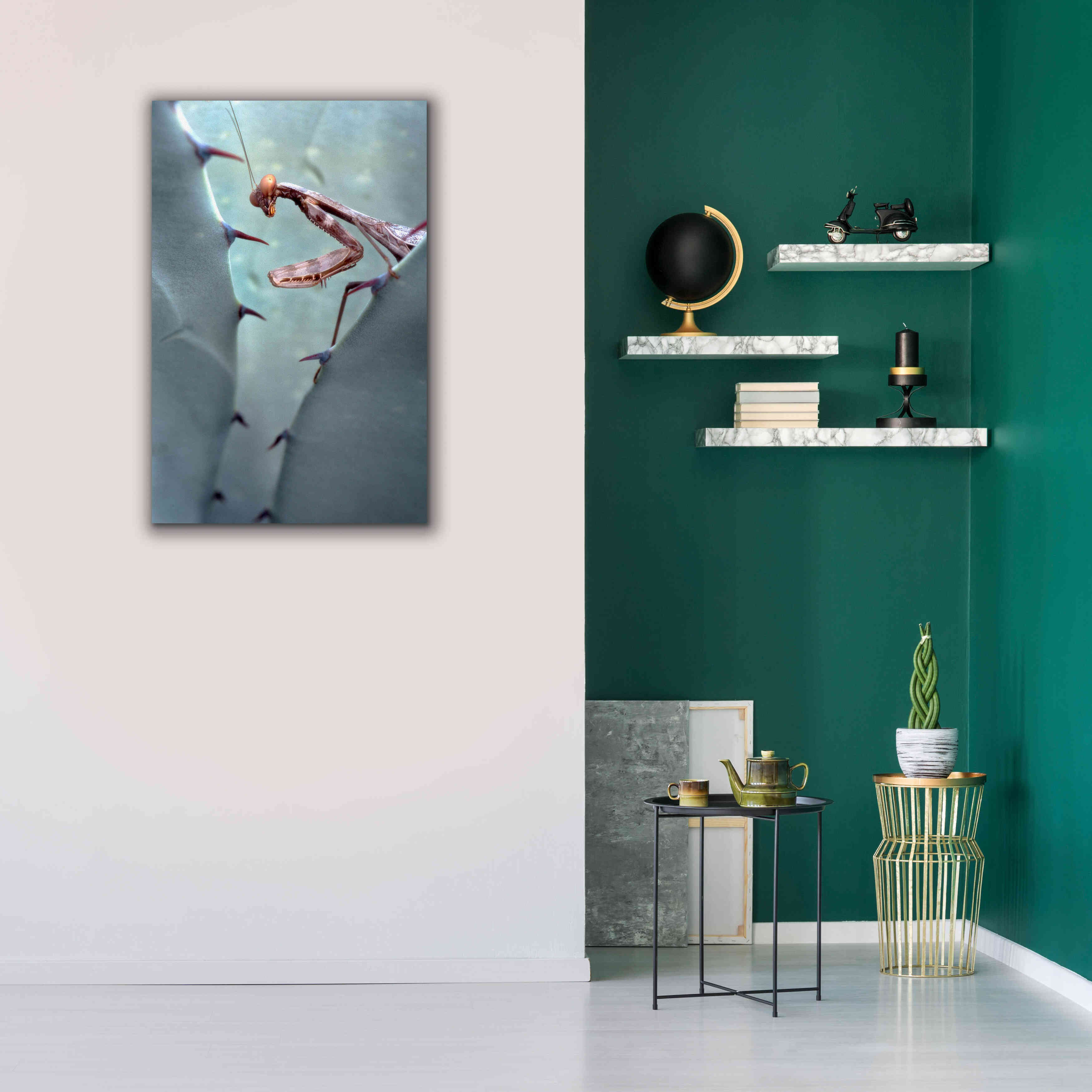 'Mantis Agave' by Thomas Haney, Giclee Canvas Wall Art,26 x 40