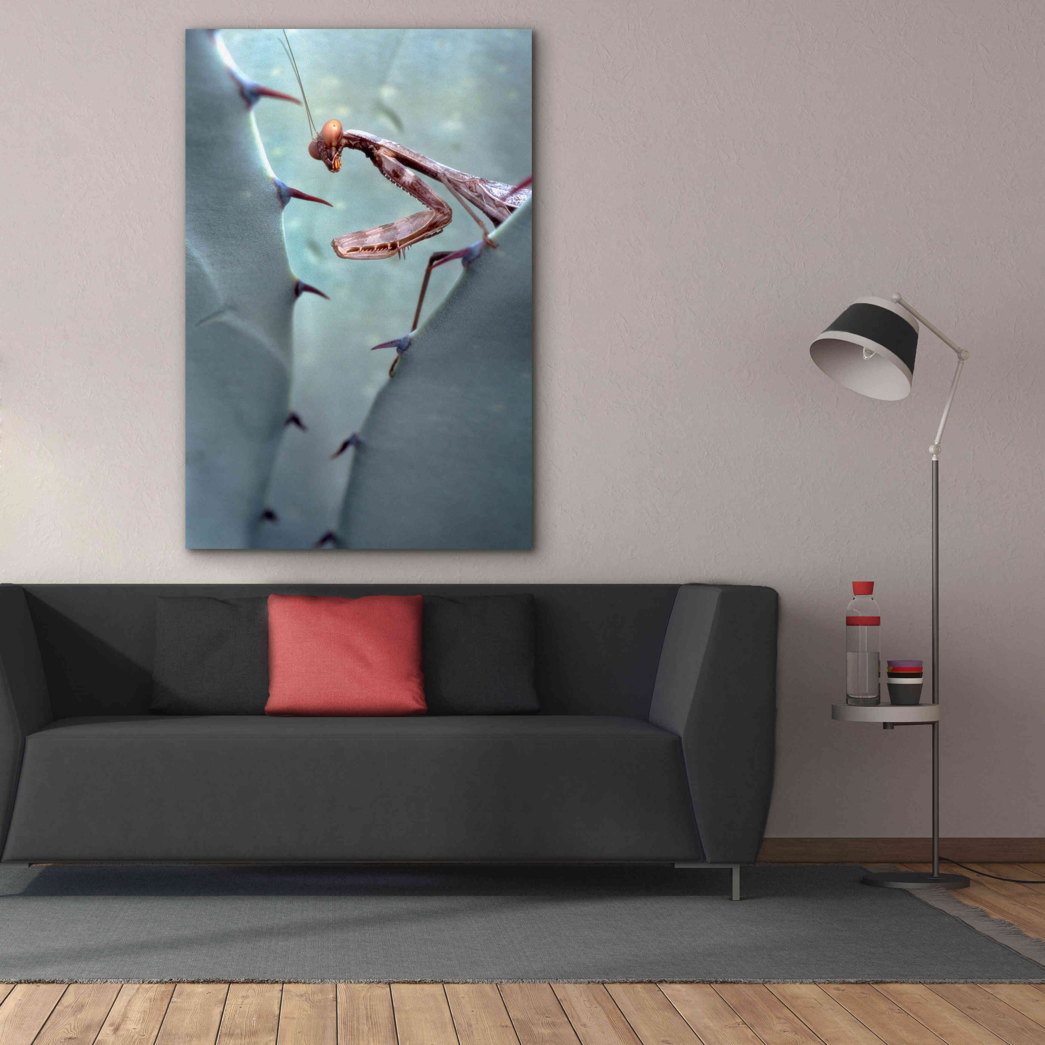 'Mantis Agave' by Thomas Haney, Giclee Canvas Wall Art,40 x 60