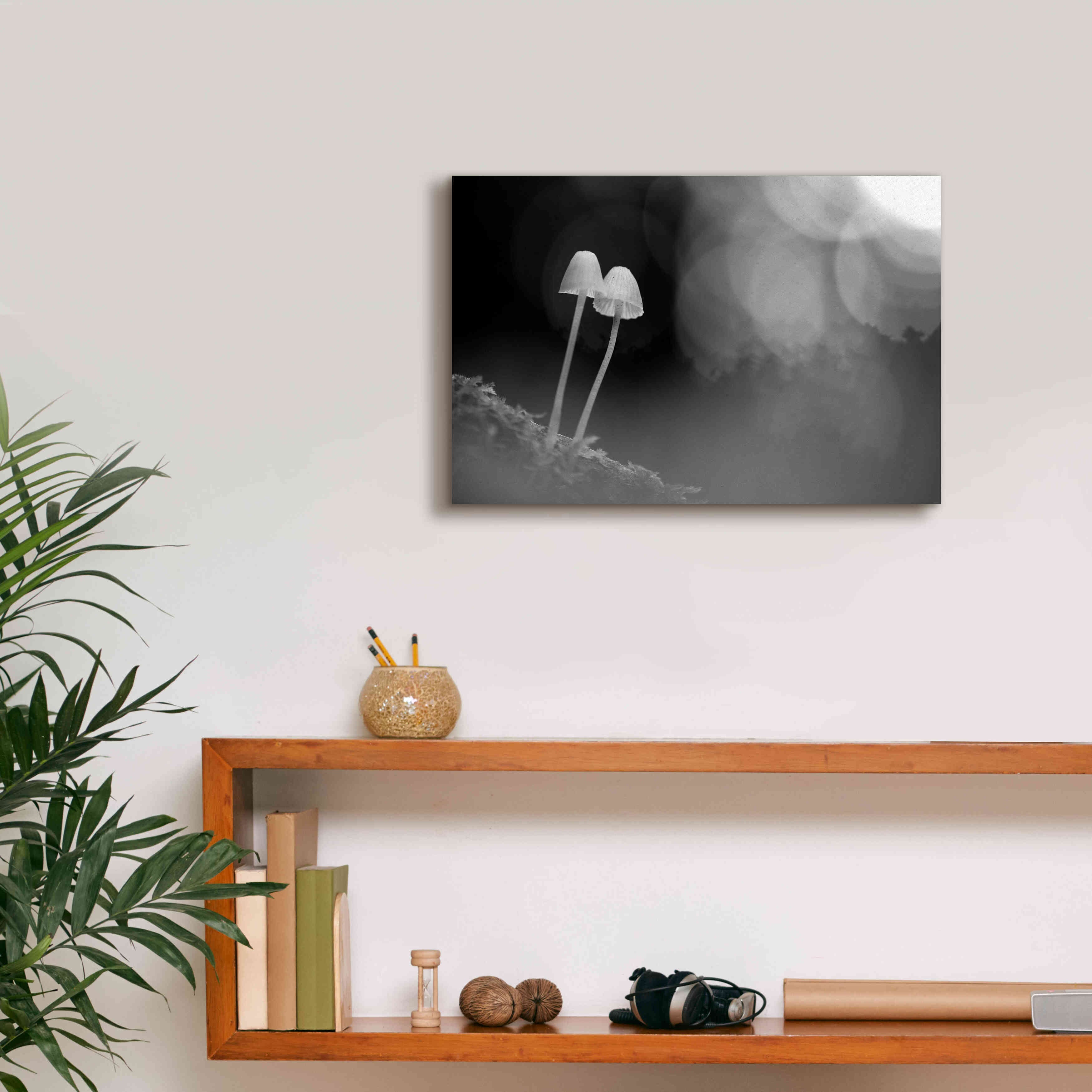 'Mushroom Tiny' by Thomas Haney, Giclee Canvas Wall Art,18 x 12