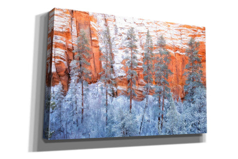 Image of 'Ponderosa Sandstone' by Thomas Haney, Giclee Canvas Wall Art