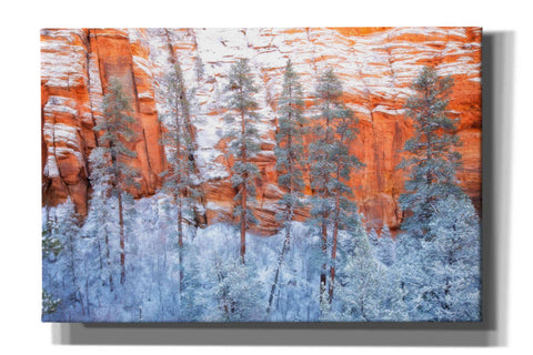 Image of 'Ponderosa Sandstone' by Thomas Haney, Giclee Canvas Wall Art