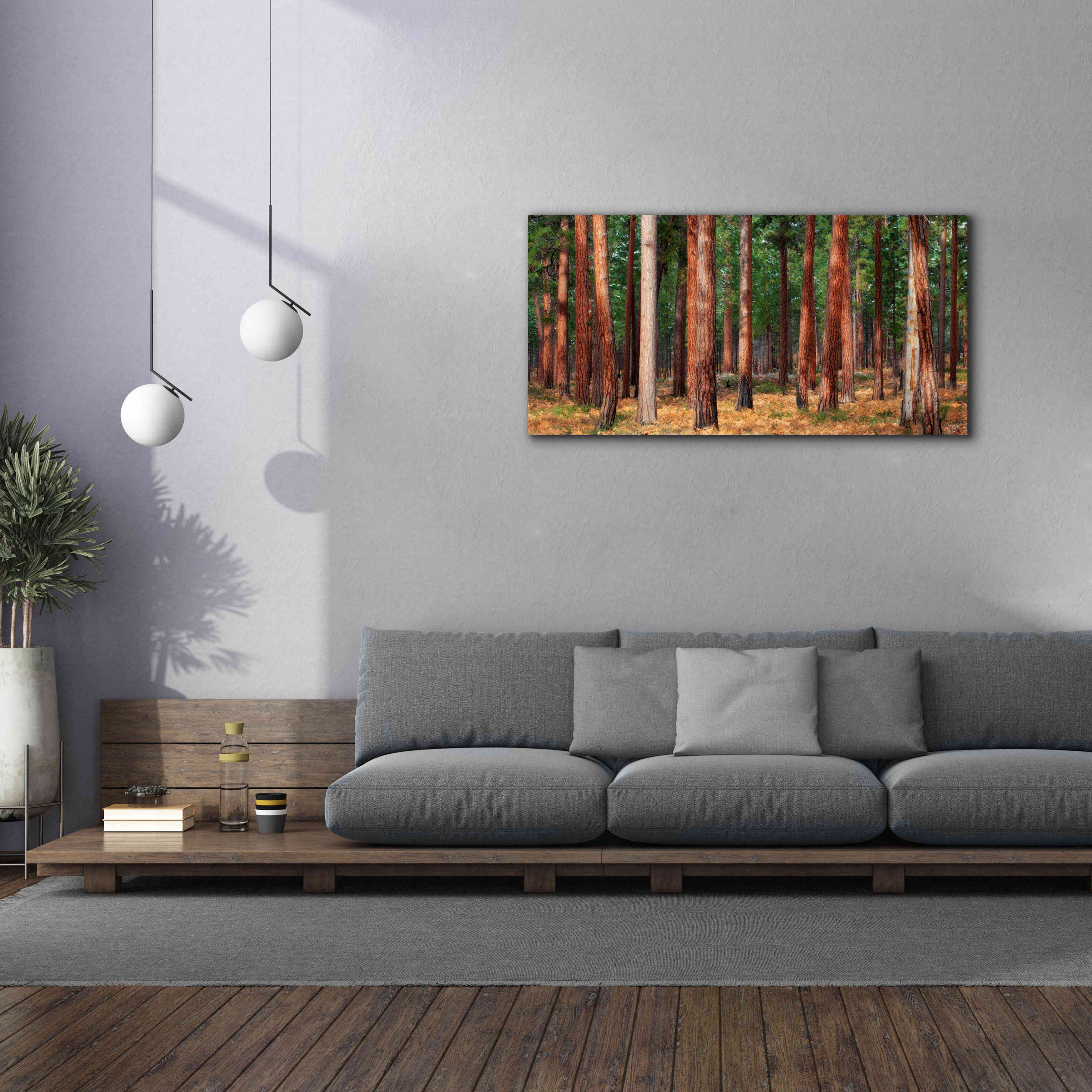 'Ponderosa Trunks' by Thomas Haney, Giclee Canvas Wall Art,60 x 30