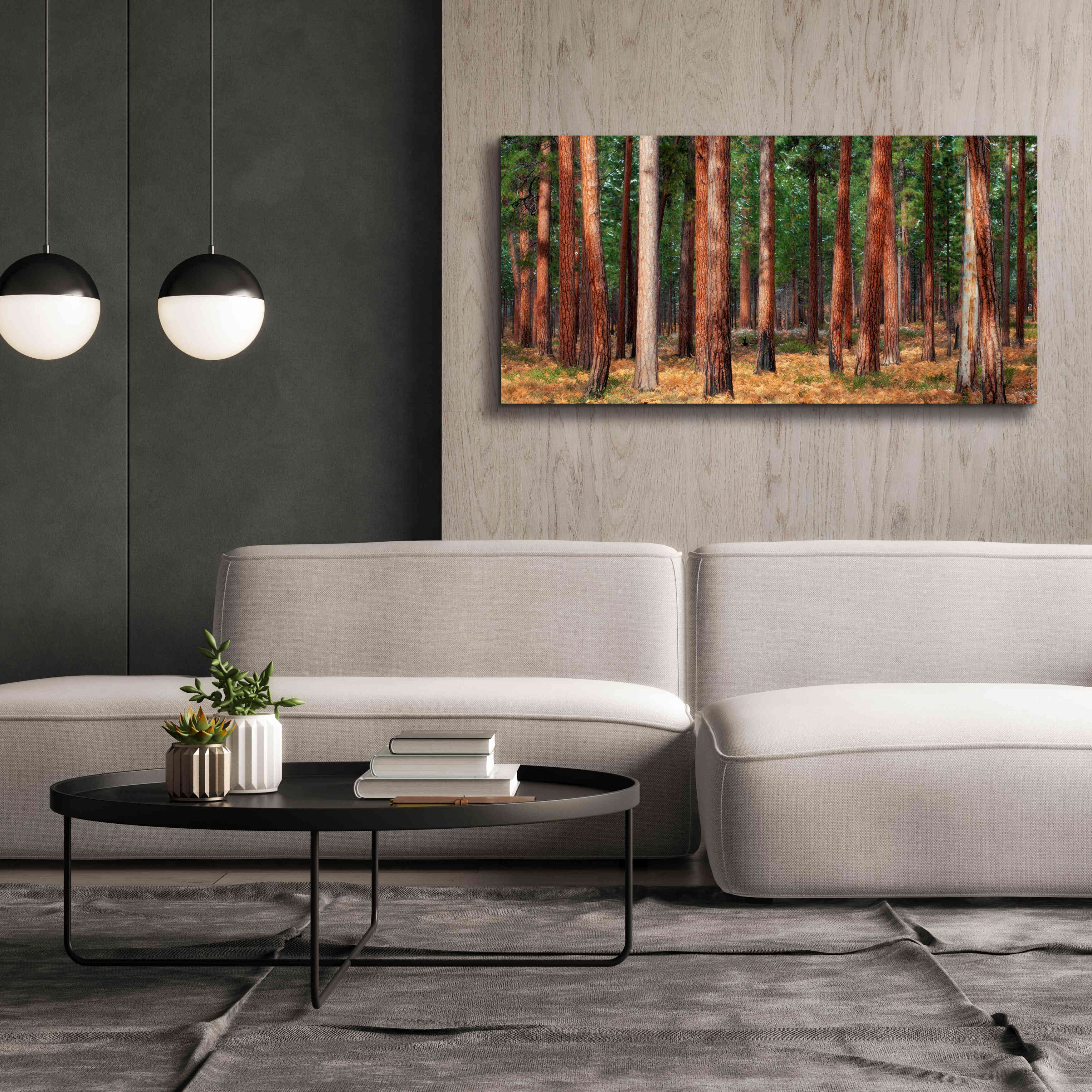 'Ponderosa Trunks' by Thomas Haney, Giclee Canvas Wall Art,60 x 30