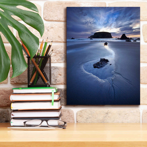 Image of 'Reflection Whale Head' by Thomas Haney, Giclee Canvas Wall Art,12 x 16
